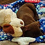 puppy, dog, stuffed_animal, blanket, blue_blanket, snowflake_pattern, carpet, sleeping, cute, cozy, indoor, pet, brown_dog, plush_toy, animal, resting, fur, close_up, soft, relaxation