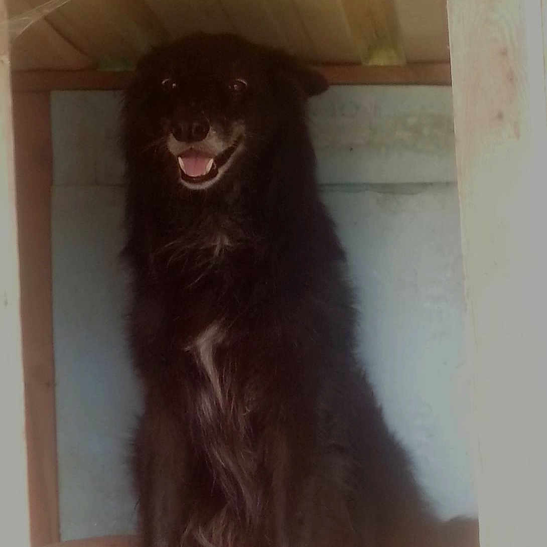 Sonny a rejoint le concours — aidez-le/la à gagner de superbes lots !