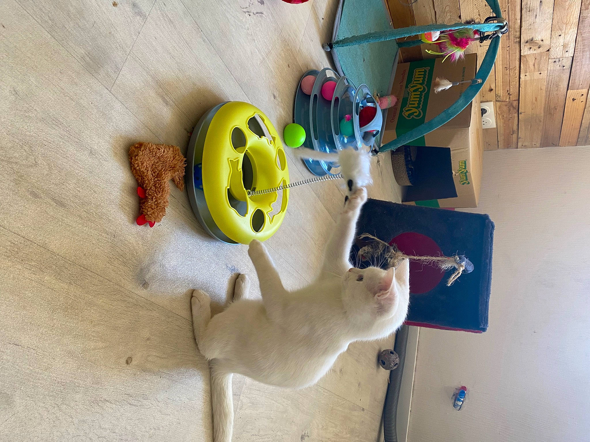 Vodka participe au concours pour gagner de l'argent avec cette photo : animation, art, baby_toys, child, electrical_supply, electrical_wiring, machine, paint, plastic, play, plush, recreation, room, stuffed_toy, toy, visual_arts, wire, wood