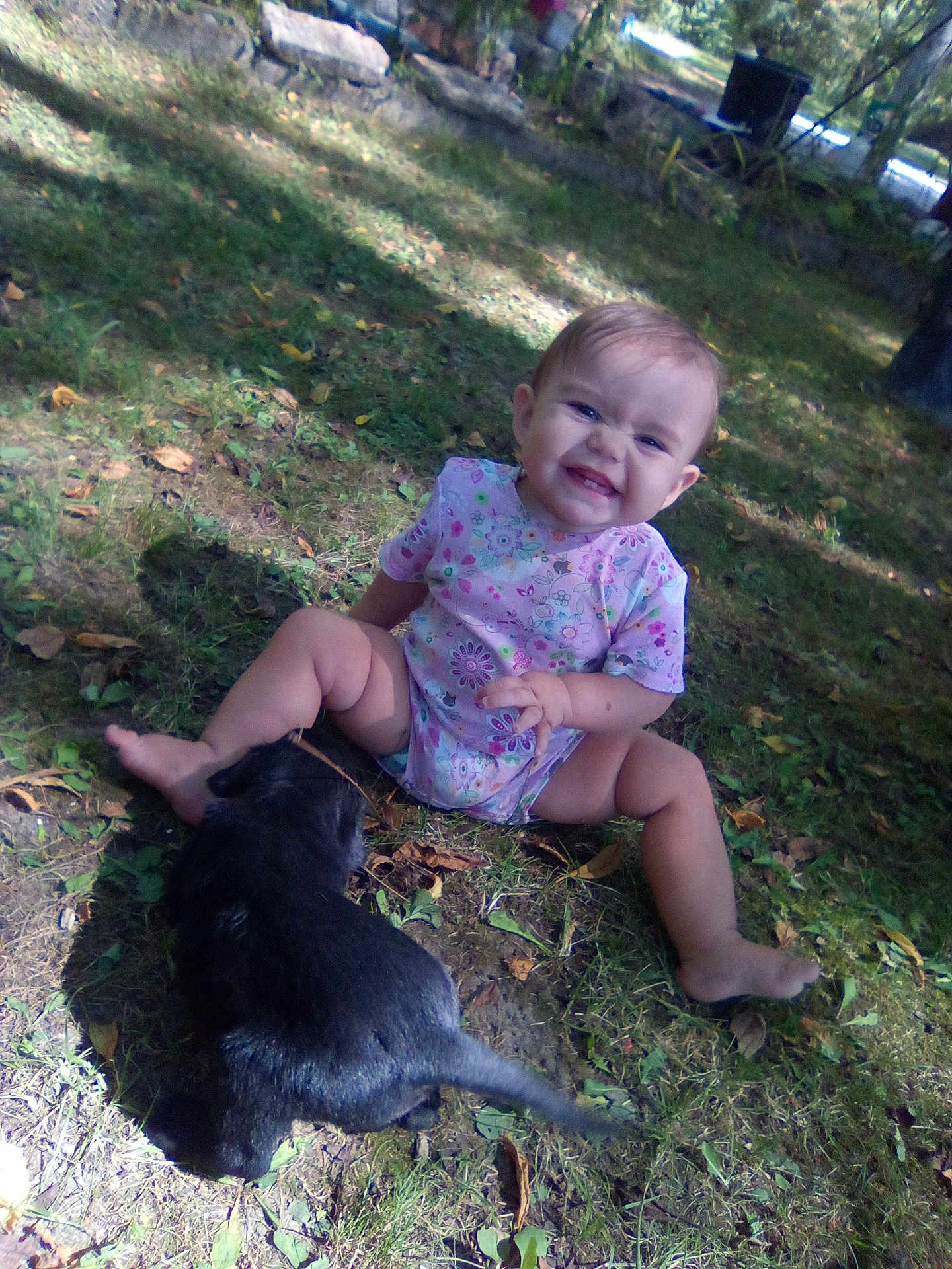 Sawyer joined the competition — help win amazing prizes! baby, child, grass, outdoor, puppy, dog, smiling, happy, onesie, barefoot, playing, nature, sunlight, leaves, pet, animal, infant, sitting, cute, young