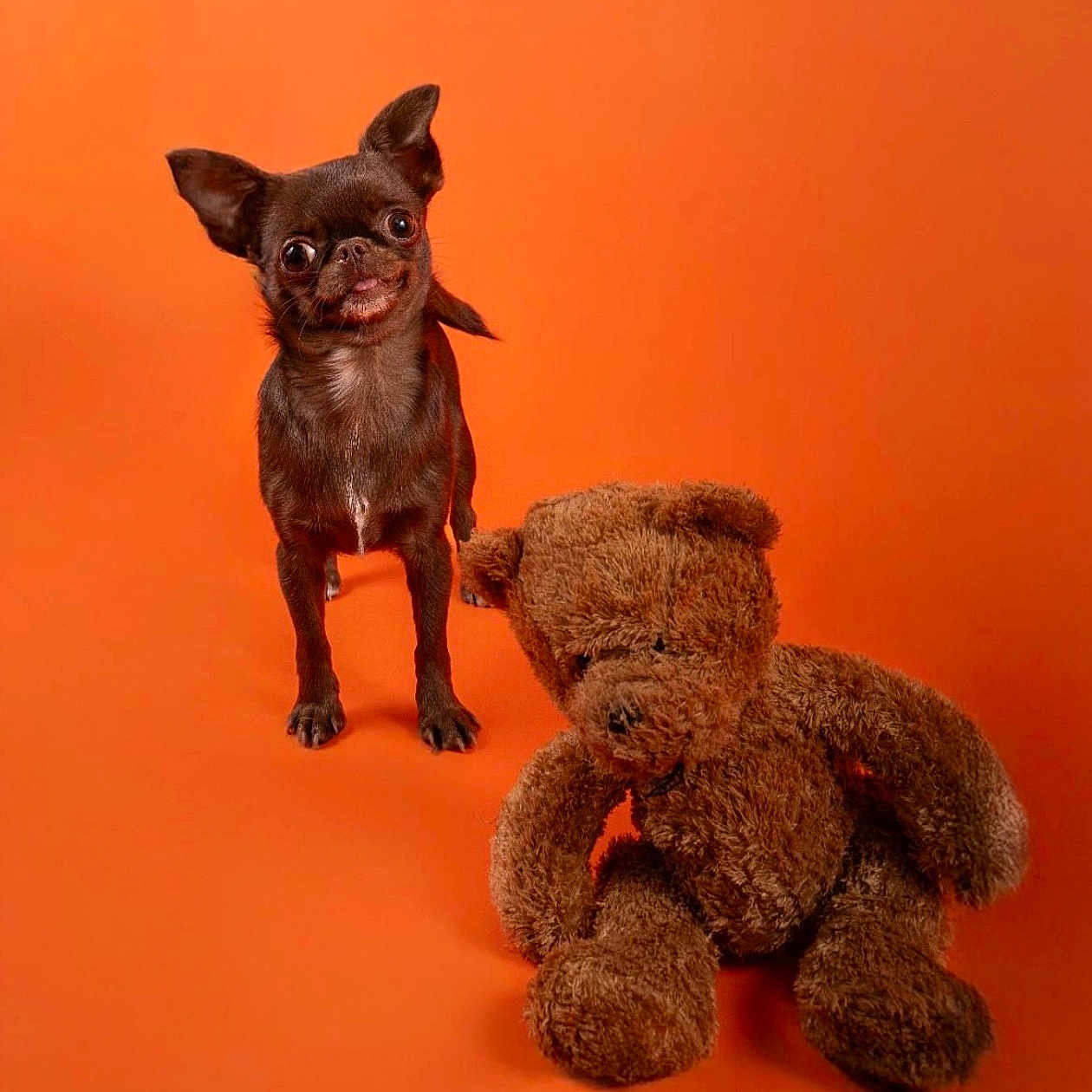 Suzanne