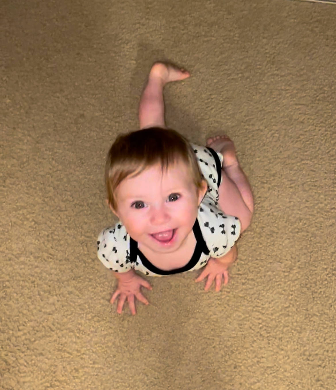 Caliegh is registered to the contest to win money with this photo: baby_toddler_clothing, elbow, eye, face, fawn, finger, flash_photography, floor, flooring, fun, gesture, grass, happy, hardwood, joy, knee, person, smile, thigh, thumb