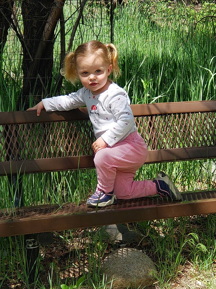 Haizel joined the competition — help win amazing prizes! botany, child, fence, grass, happy, leg, person, plant, play, sitting, smile, spring, toddler, tree