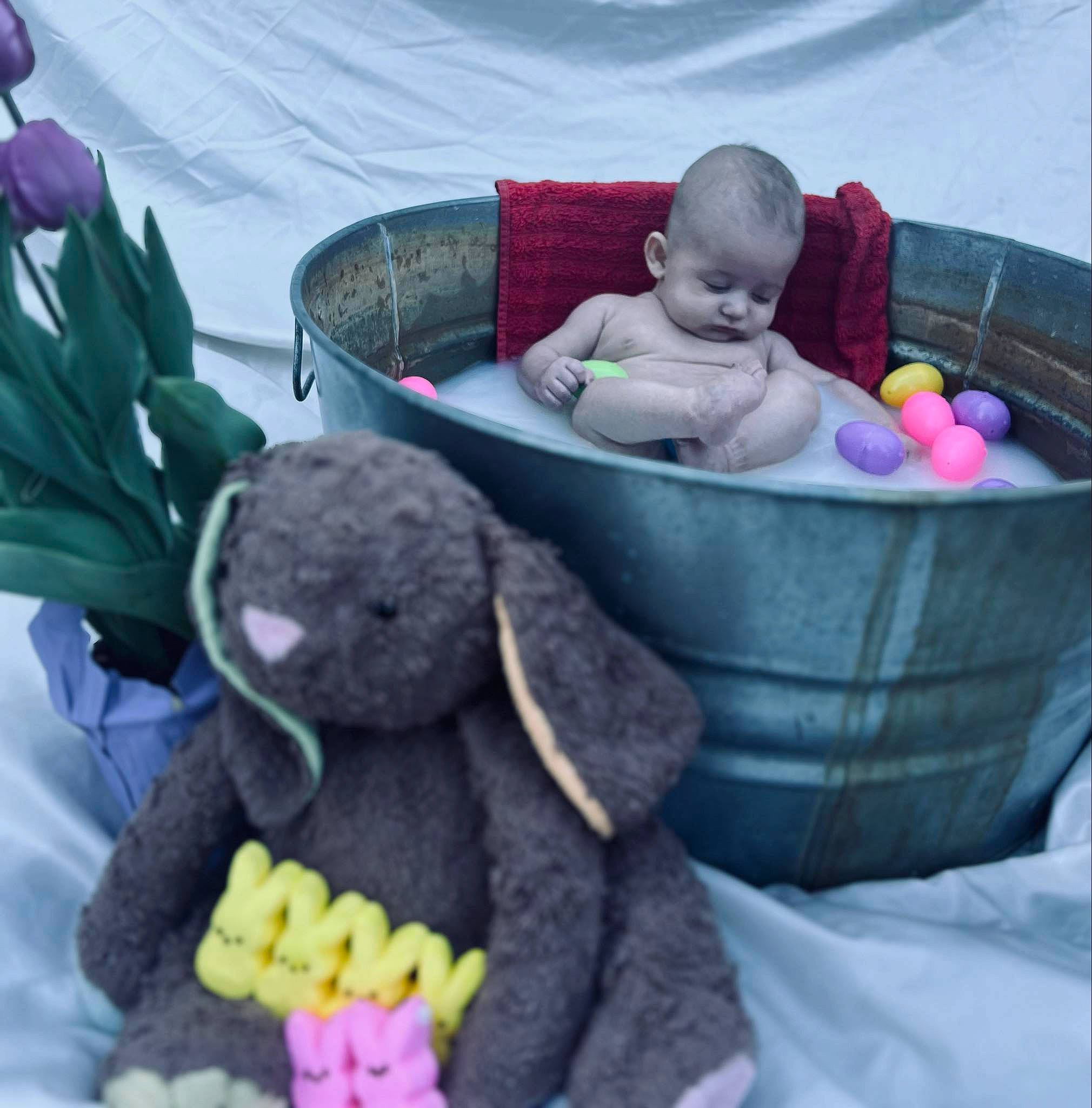 Brinnley is registered to the contest to win money with this photo: baby, bathing, comfort, event, grass, green, hat, headgear, linens, mammal, person, photograph, pink, plush, product, purple, stuffed_toy, textile, toddler, toy