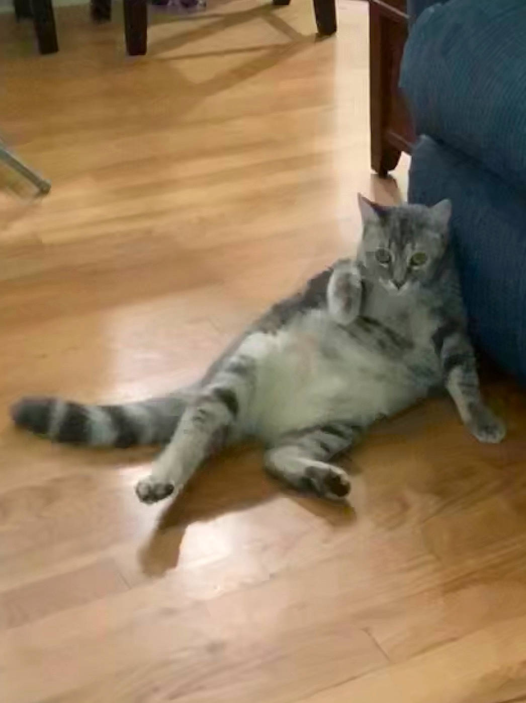 Josie is registered to the contest to win money with this photo: