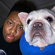 Peanut is registered to the contest to win money with this photo: accessories, animal, belt, bodypart, boxer, bulldog, canine, cushion, dog, face, frenchbulldog, head, homedecor, person, pet, photography, pitbull, portrait, puppy, selfie