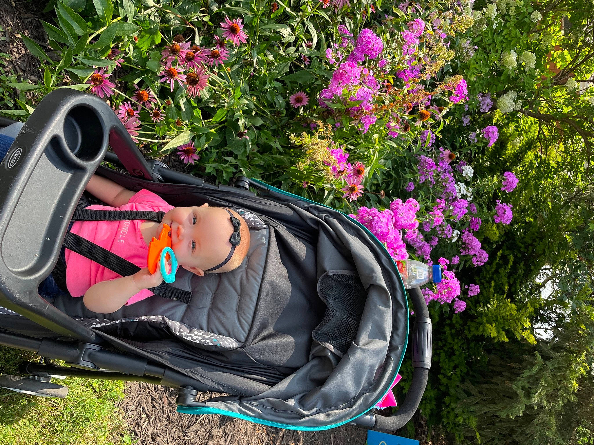 Kinsley joined the competition — help win amazing prizes! automotive_design, automotive_exterior, baby_carriage, backpack, bag, bumper, flower, grass, headwear, leaf, leisure, luggage_and_bags, magenta, motor_vehicle, person, petal, pink, plant, tree, vehicle