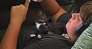 Domino is registered to the contest to win money with this photo: person, kitten, cat, headphones, smartphone, couch, pillow, black_cat, white_paws, relaxing, indoor, leather_couch, lying_down, using_phone, cozy, young_person, casual_clothing, home, pet, resting
