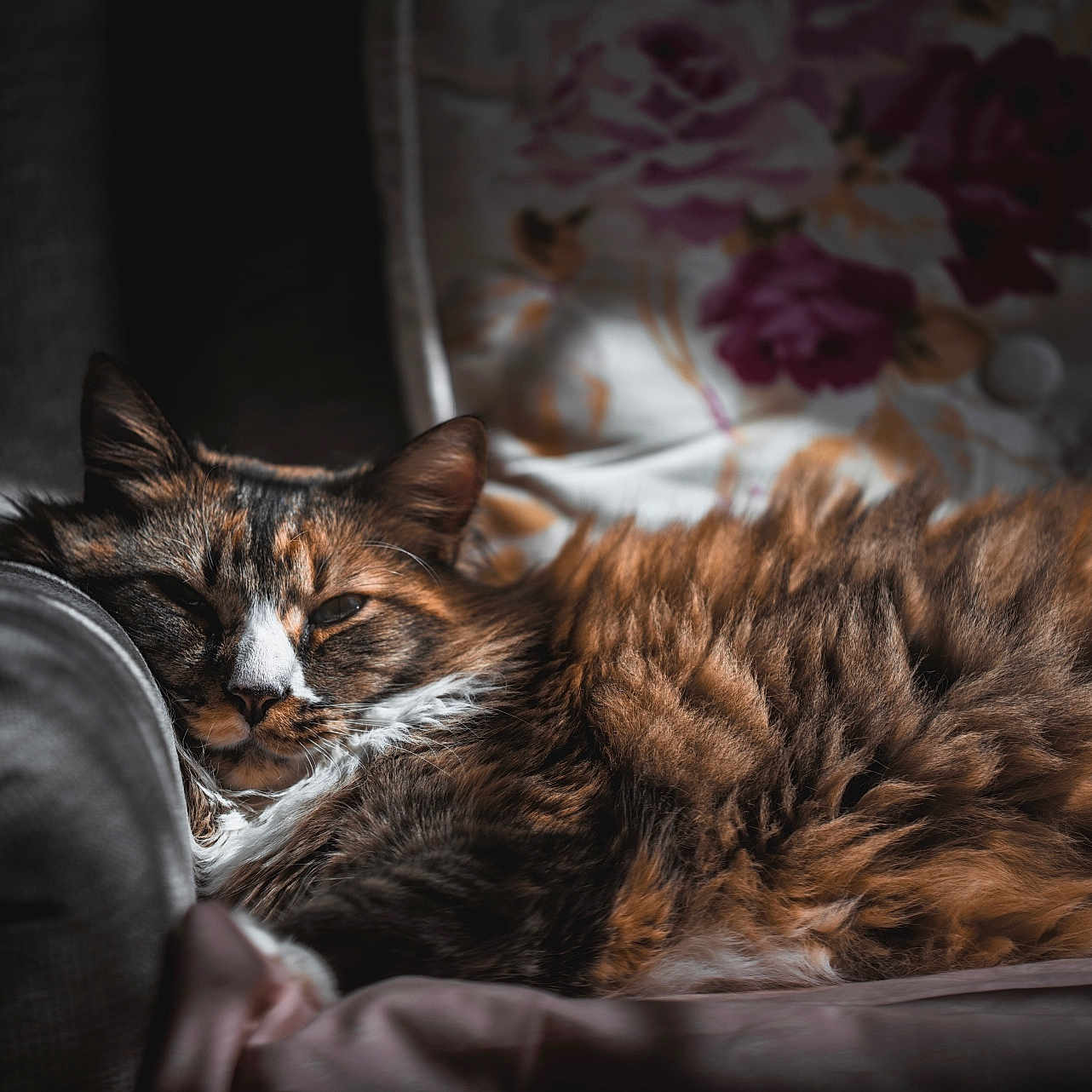 Rosie