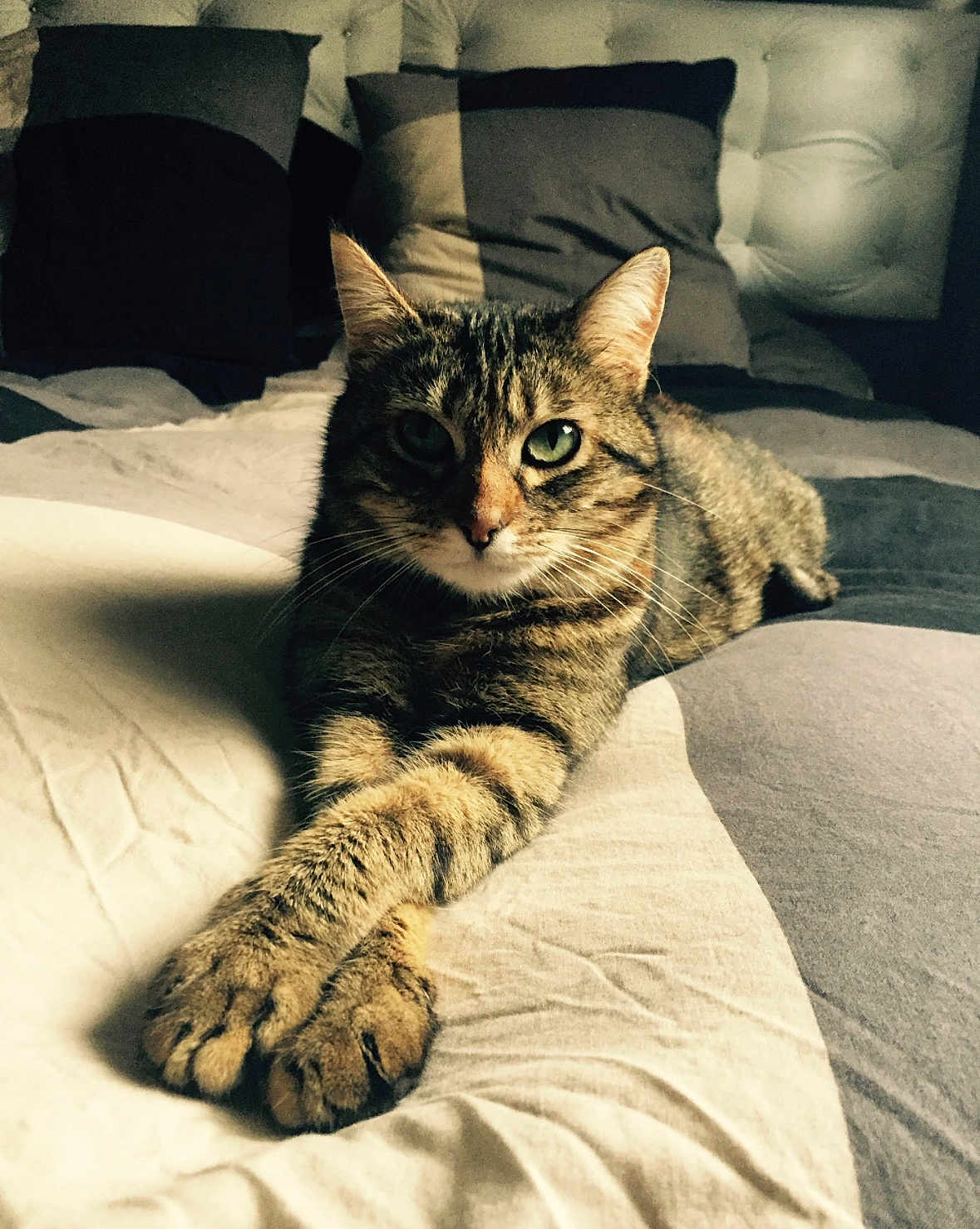 Nala