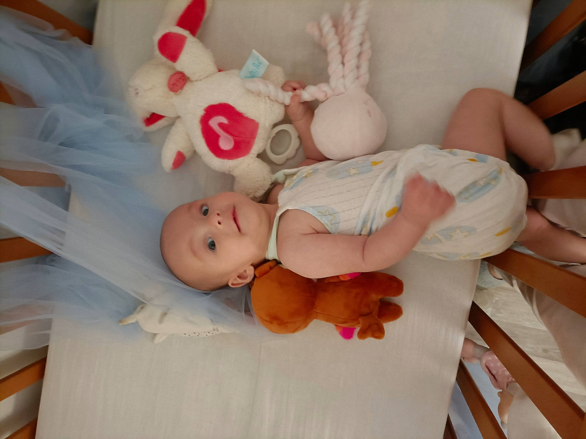 Stella participe au concours pour gagner de l'argent avec cette photo : abdomen, baby, baby_products, baby_sleeping, baby_toddler_clothing, birth, child, comfort, diaper, finger, happy, linens, peach, person, pink, room, skin, smile, stomach, toddler