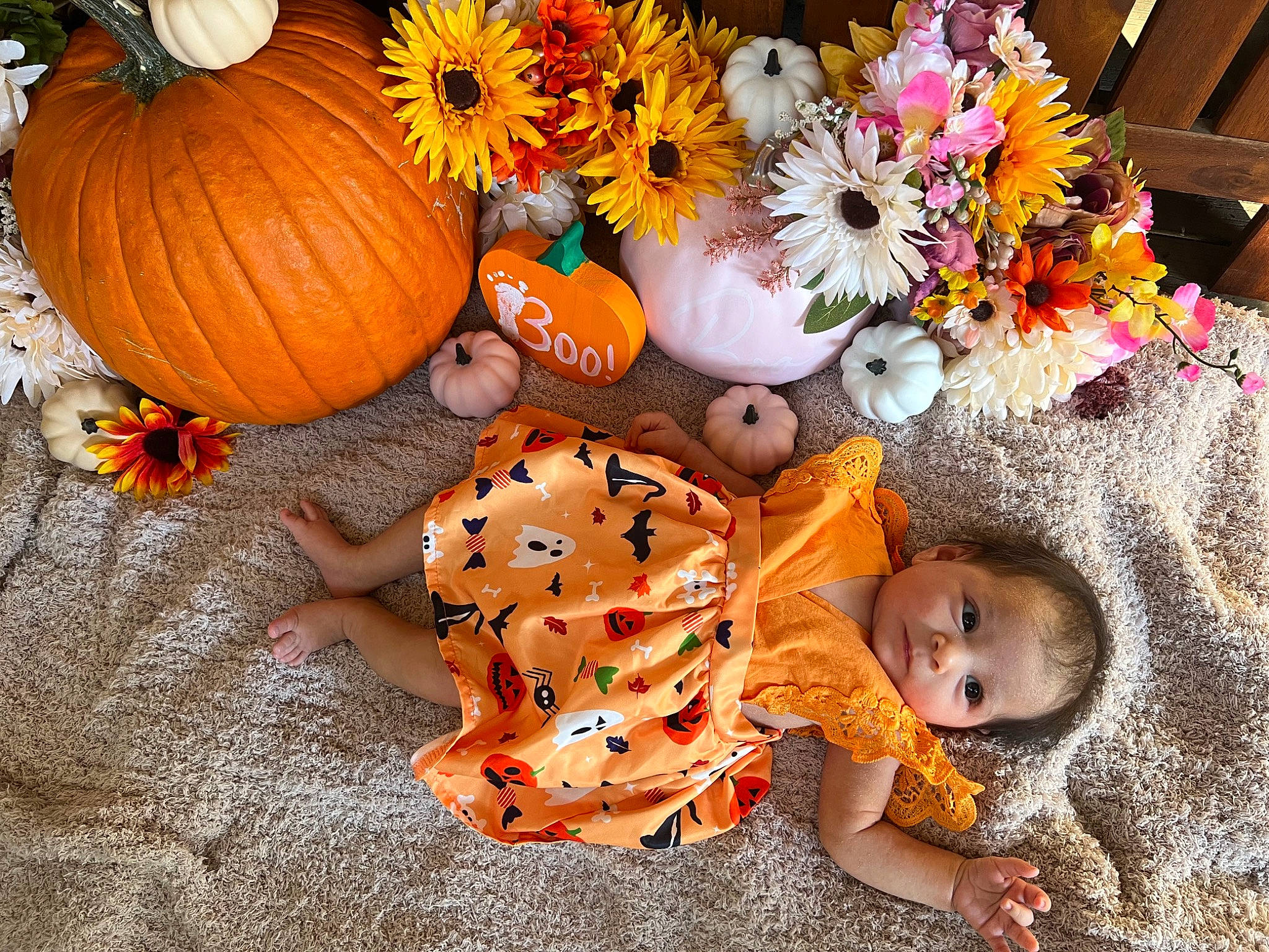 Moira joined the competition — help win amazing prizes! baby, baby_toddler_clothing, calabaza, cucurbita, event, flower, flower_arranging, gourd, happy, leaf, natural_foods, orange, person, plant, pumpkin, squash, stuffed_toy, toy, vegetable, winter_squash