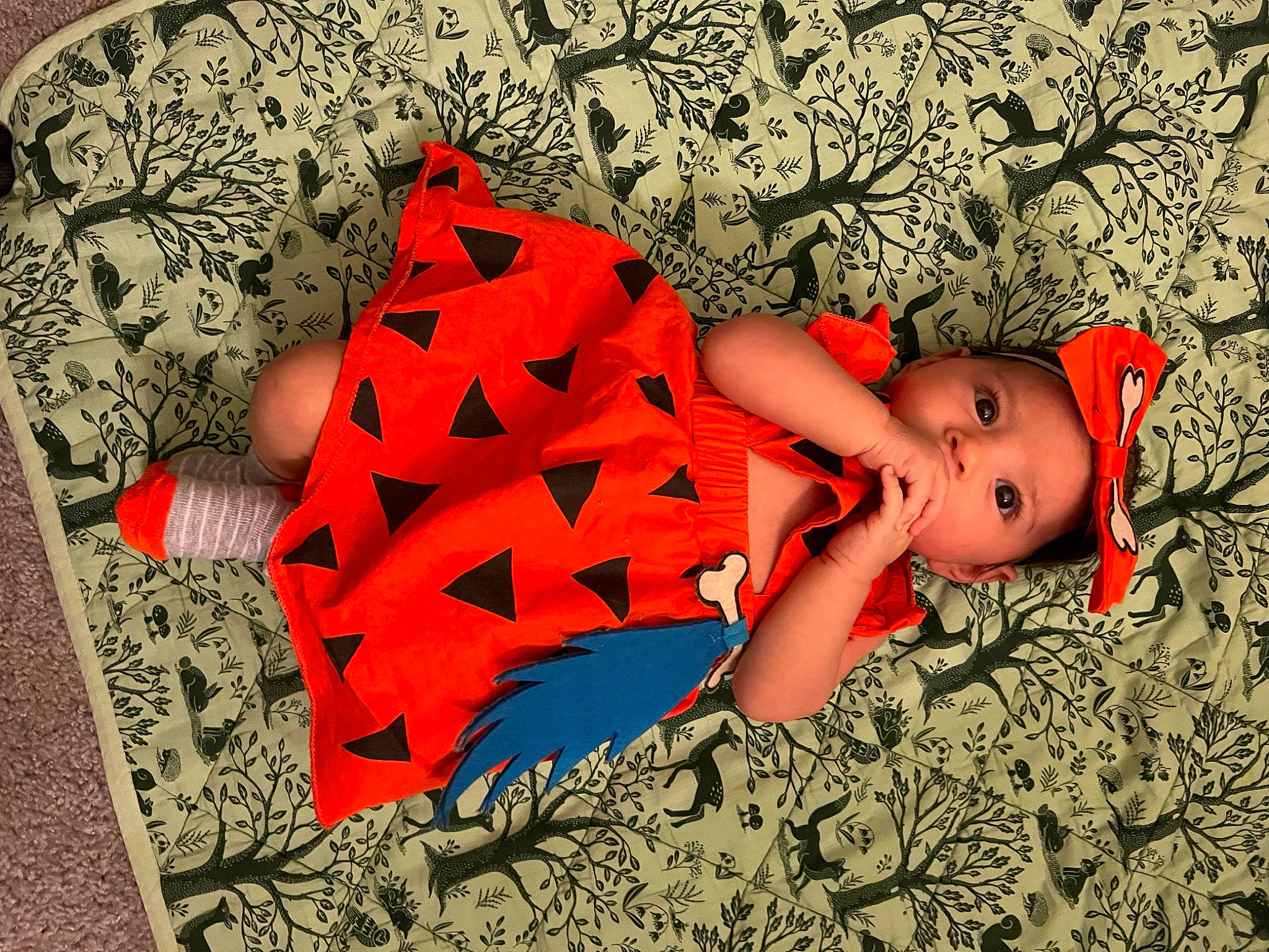 Moira joined the competition — help win amazing prizes! art, carmine, circle, fashion_accessory, font, graphic_design, graphics, headgear, headwear, human_leg, illustration, linens, lingerie, orange, pattern, people_in_nature, person, room, textile, thigh