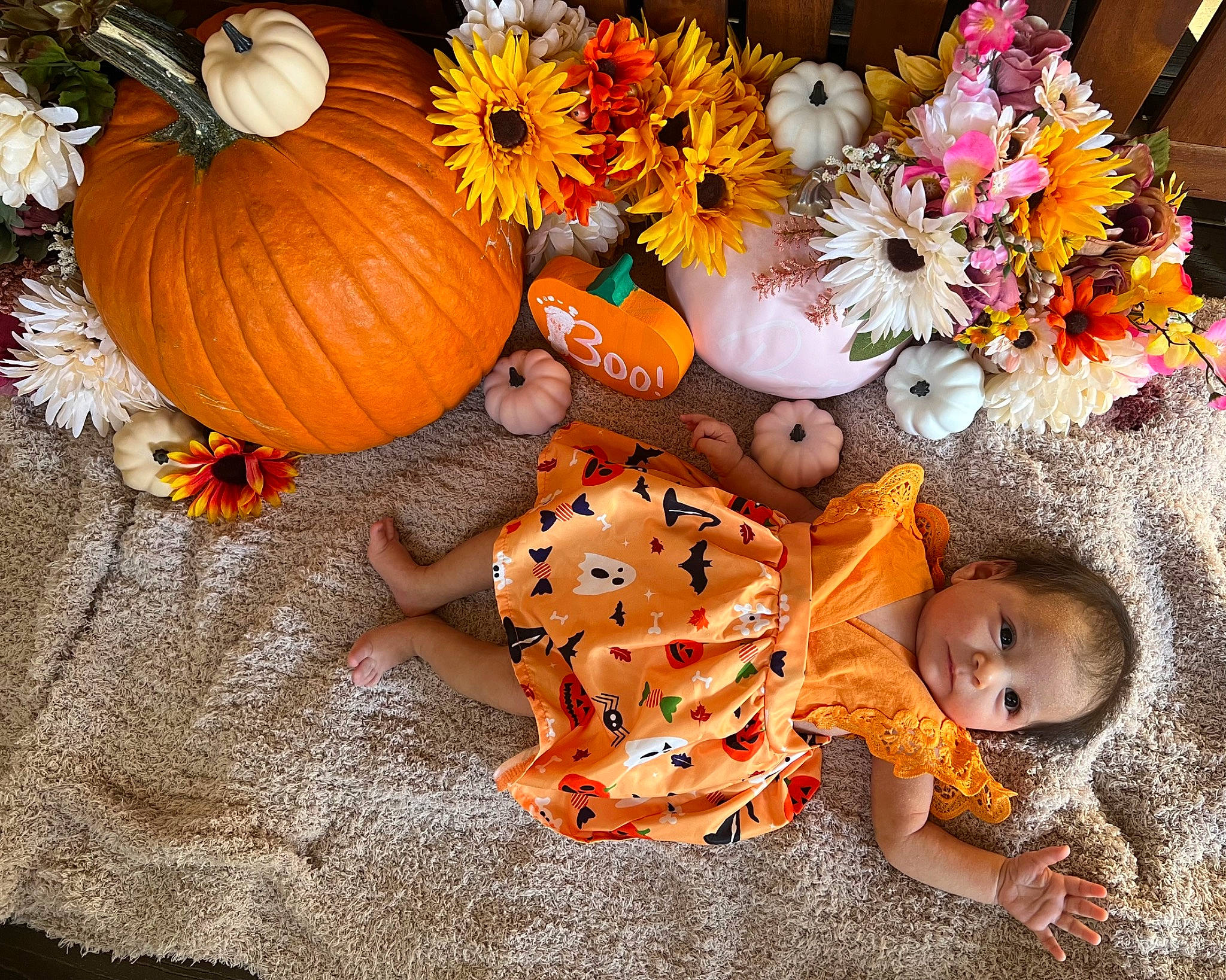 Moira is registered to the contest to win money with this photo: baby_toddler_clothing, calabaza, cucurbita, event, flower, gourd, local_food, natural_foods, orange, person, plant, produce, pumpkin, squash, stuffed_toy, toy, tradition, vegetable, whole_food, winter_squash