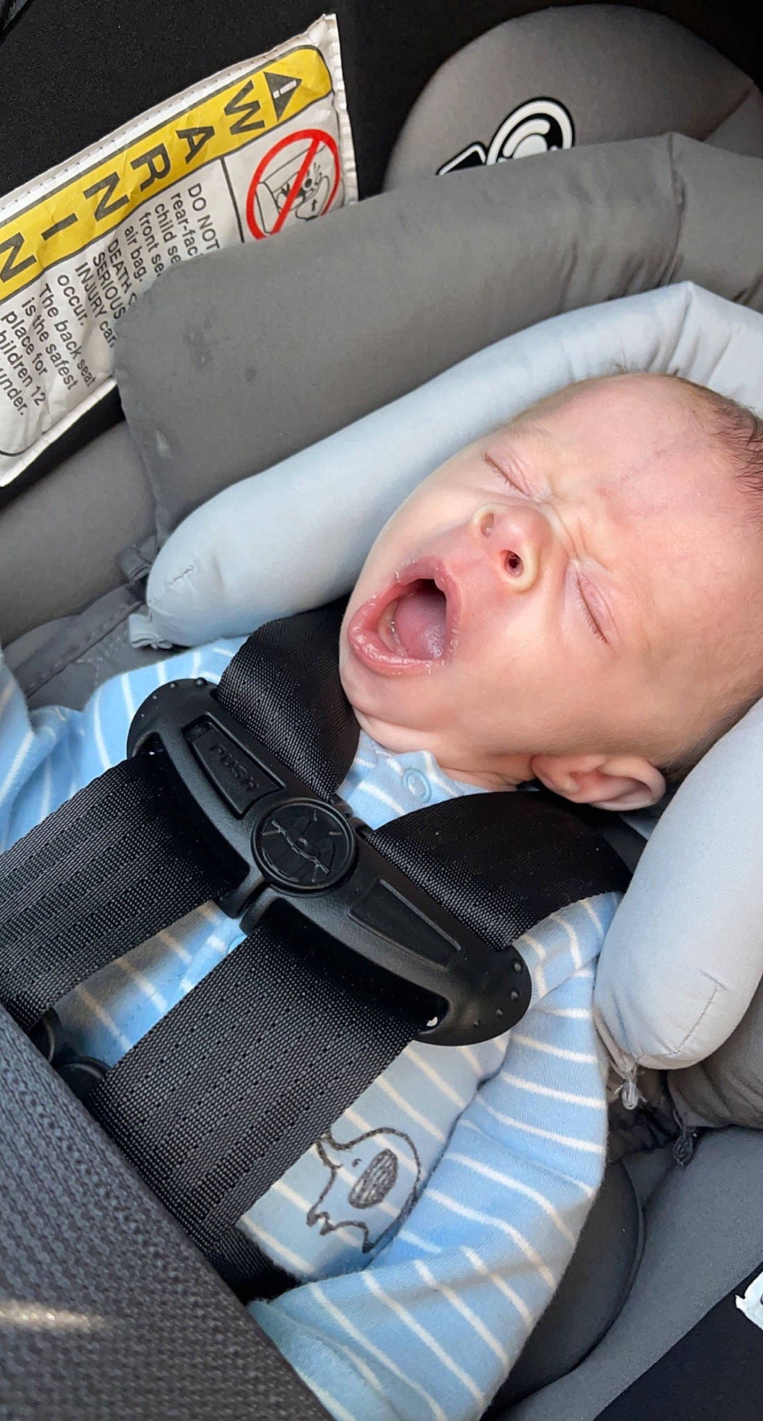 Corey joined the competition — help win amazing prizes! airline, auto_part, automotive_design, baby, baby_in_car_seat, baby_products, car_seat, cheek, child, collar, comfort, head_restraint, motor_vehicle, outerwear, person, seat_belt, sitting, sleep, sleeve, toddler