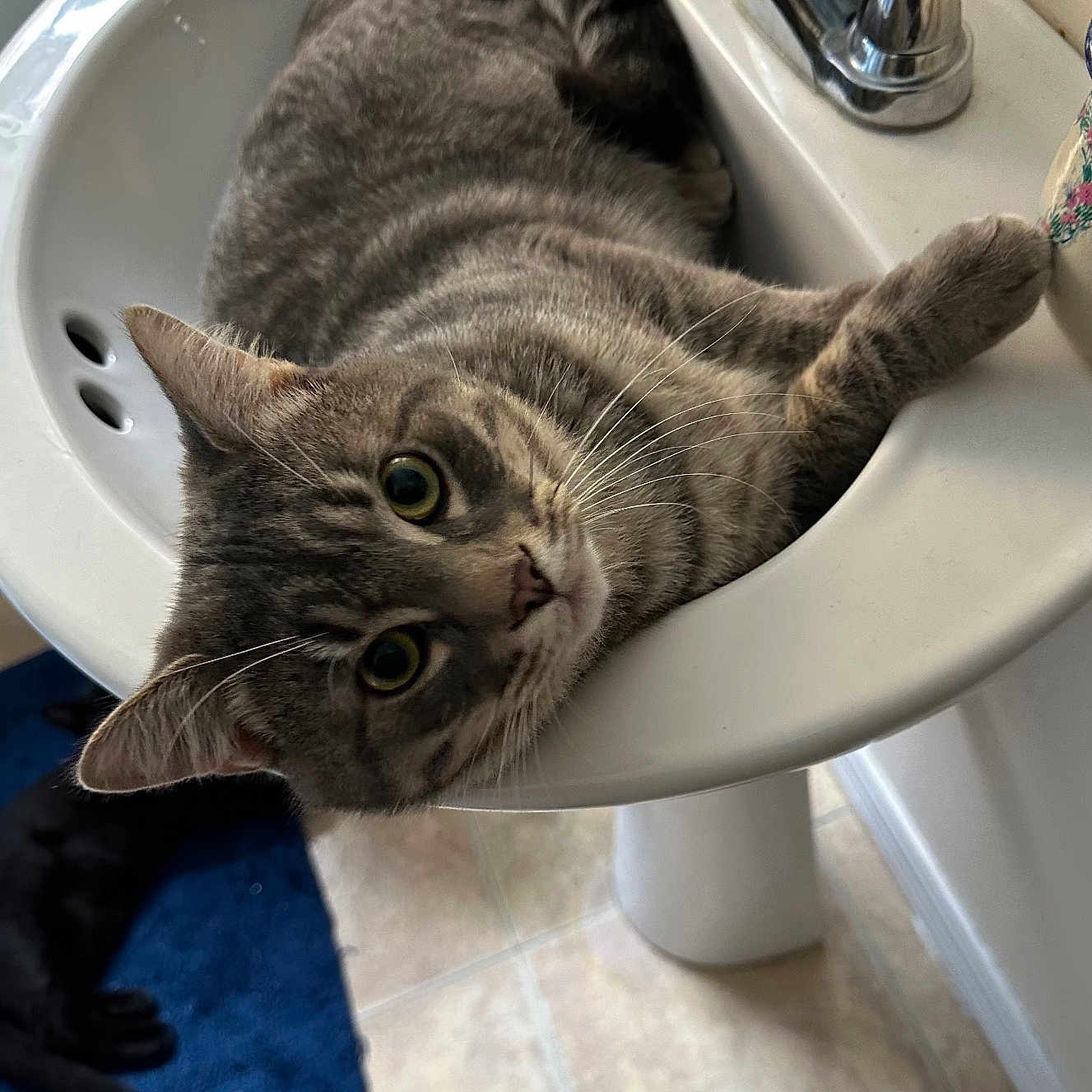 Loki