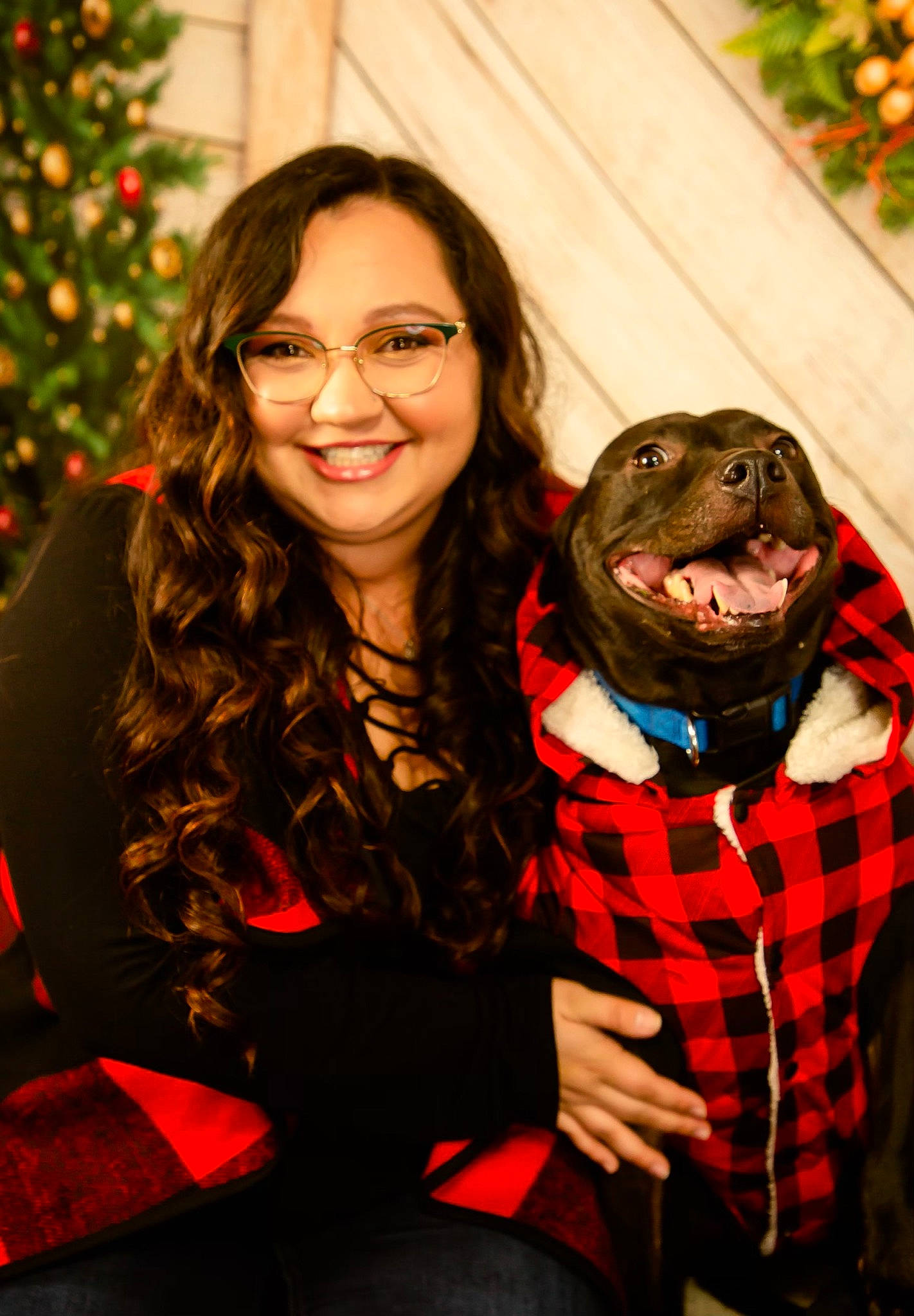 Kelvin joined the competition — help win amazing prizes! brown_hair, christmas, christmas_decoration, christmas_eve, christmas_ornament, eyewear, facial_expression, glasses, happy, holiday, humour, laugh, love, marine_mammal, ornament, portrait_photography, smile, snout, tooth, vision_care