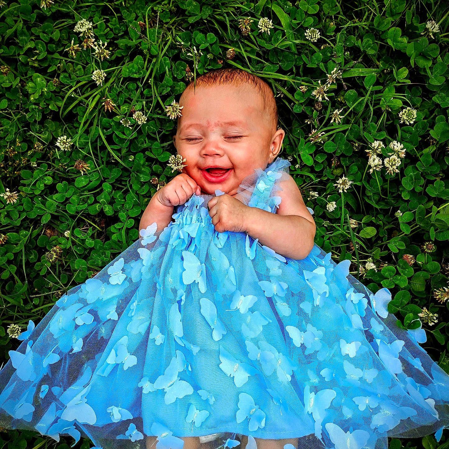 Caityy is registered to the contest to win money with this photo: baby, blue_dress, butterflies, child, clover, cute, flora, flower, grass, greenery, happy, infant, lying_down, nature, outdoor, playful, portrait, skin, smiling, tulle