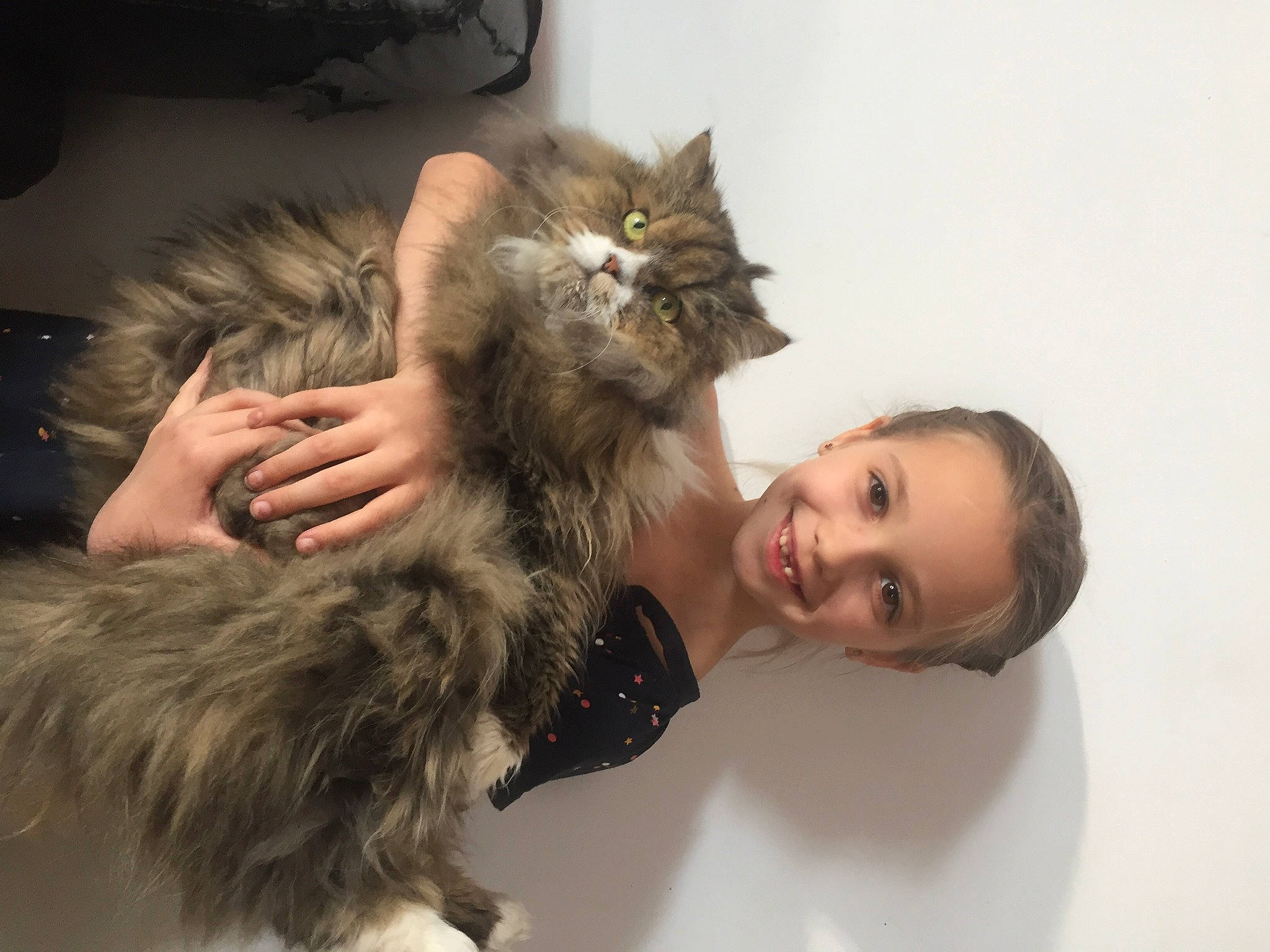 Félixine participe au concours pour gagner de l'argent avec cette photo : american_curl, british_longhair, british_semi_longhair, carnivore, cat, domestic_long_haired_cat, ear, felidae, fur, joy, kitten, kurilian_bobtail, maine_coon, mammal, norwegian_forest_cat, person, ragamuffin, siberian, small_to_medium_sized_cats, whiskers