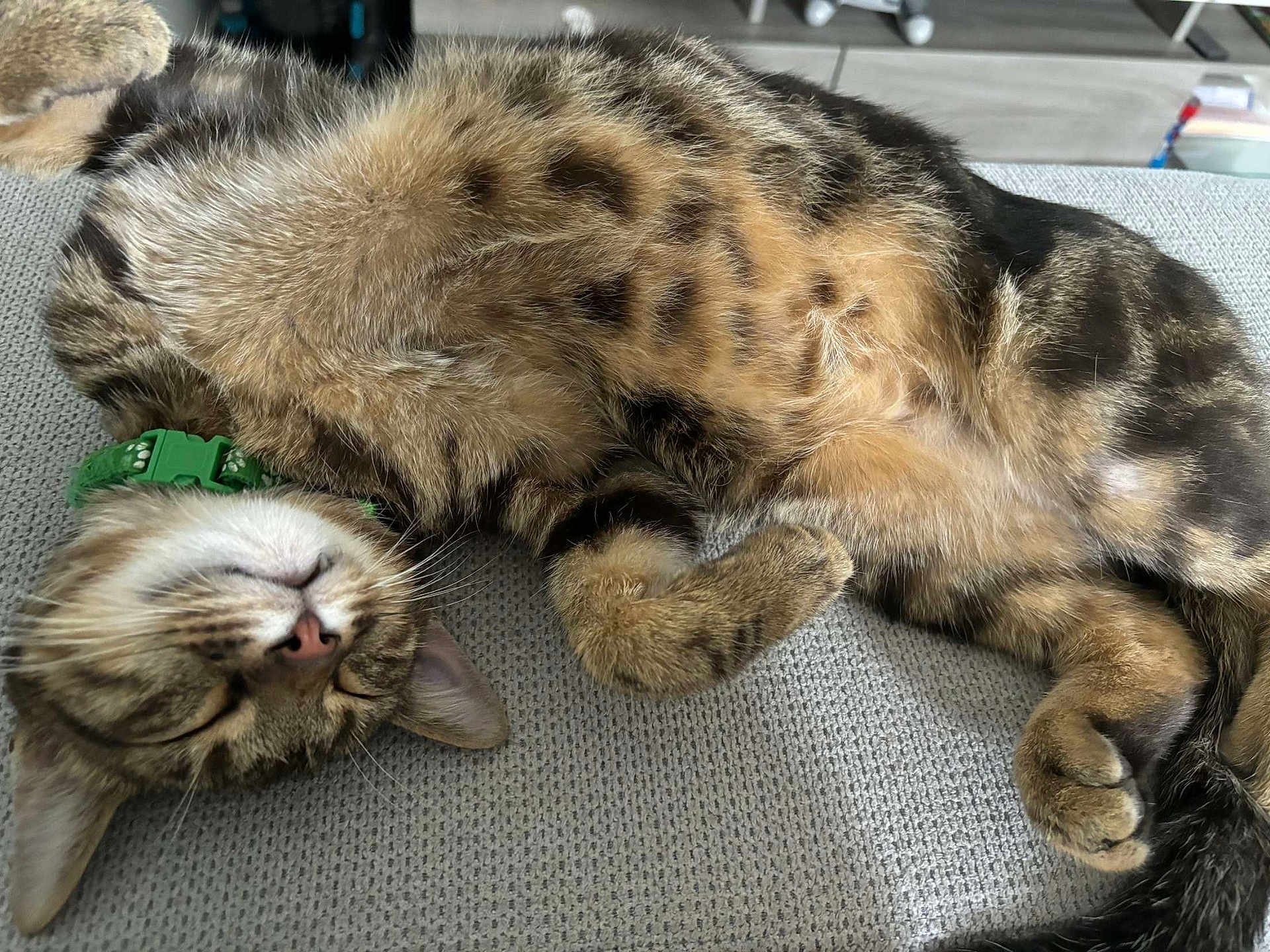 Simba