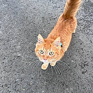 Tiroux participe au concours pour gagner de l'argent avec cette photo :