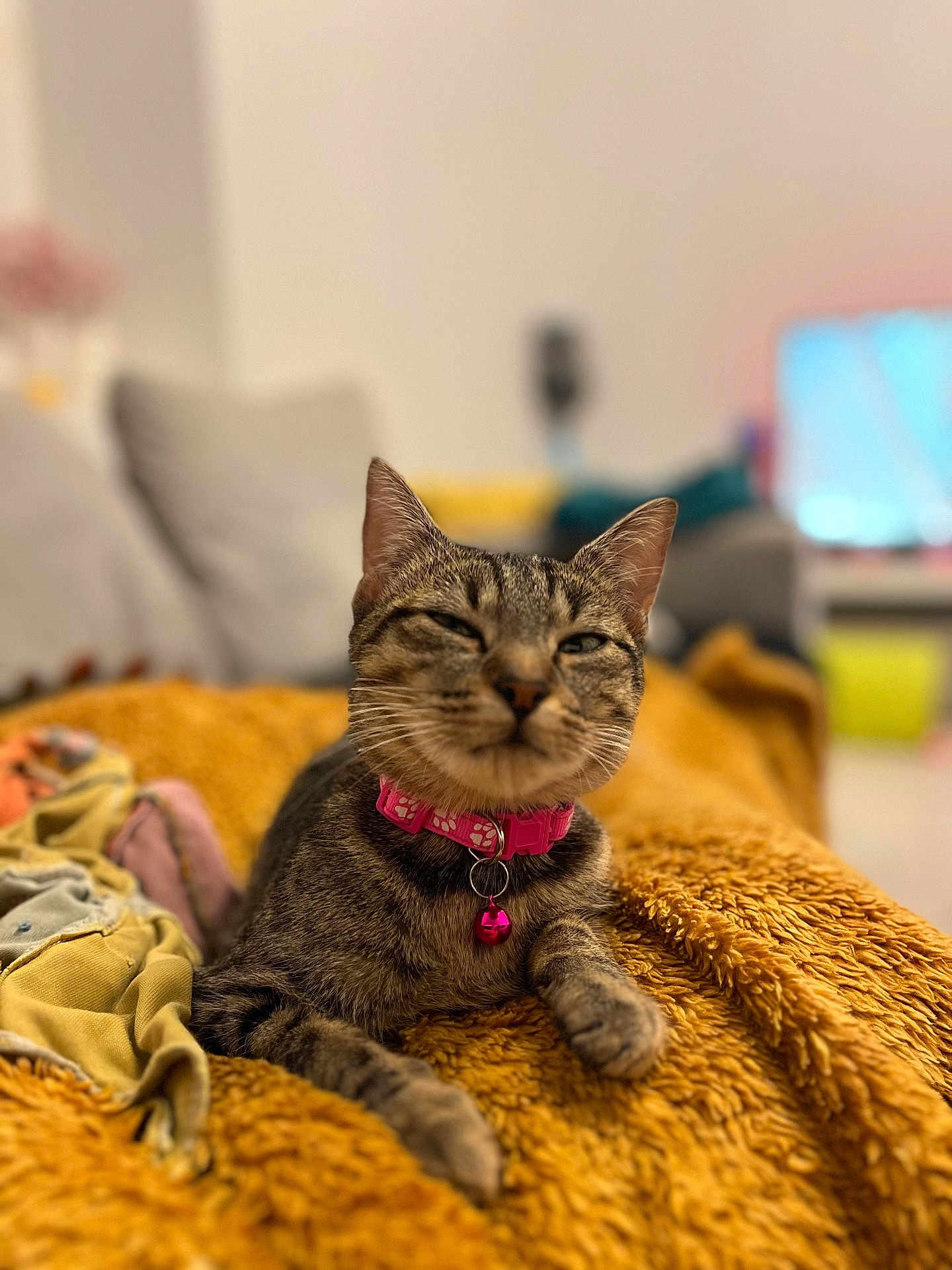 Nala