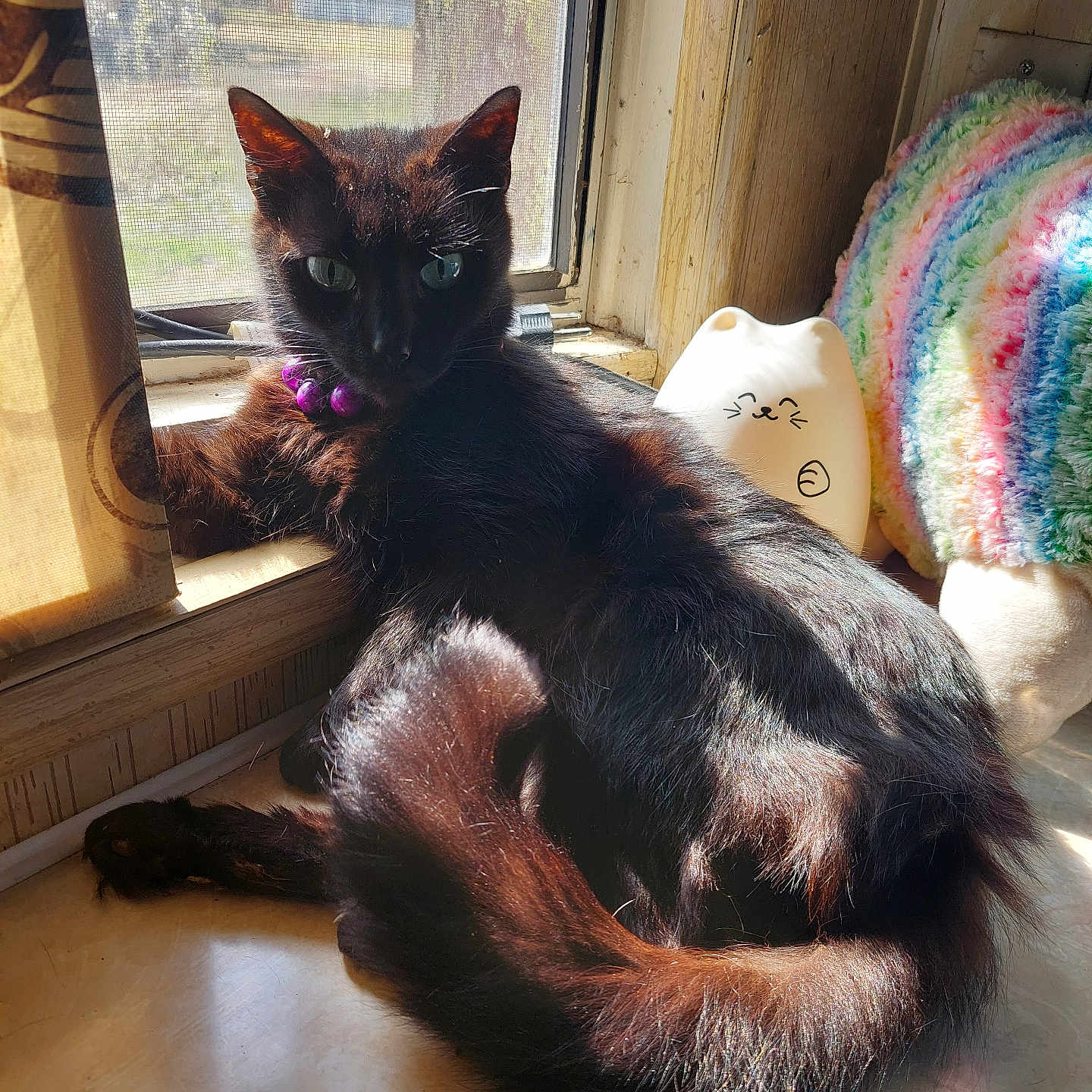 Luna
