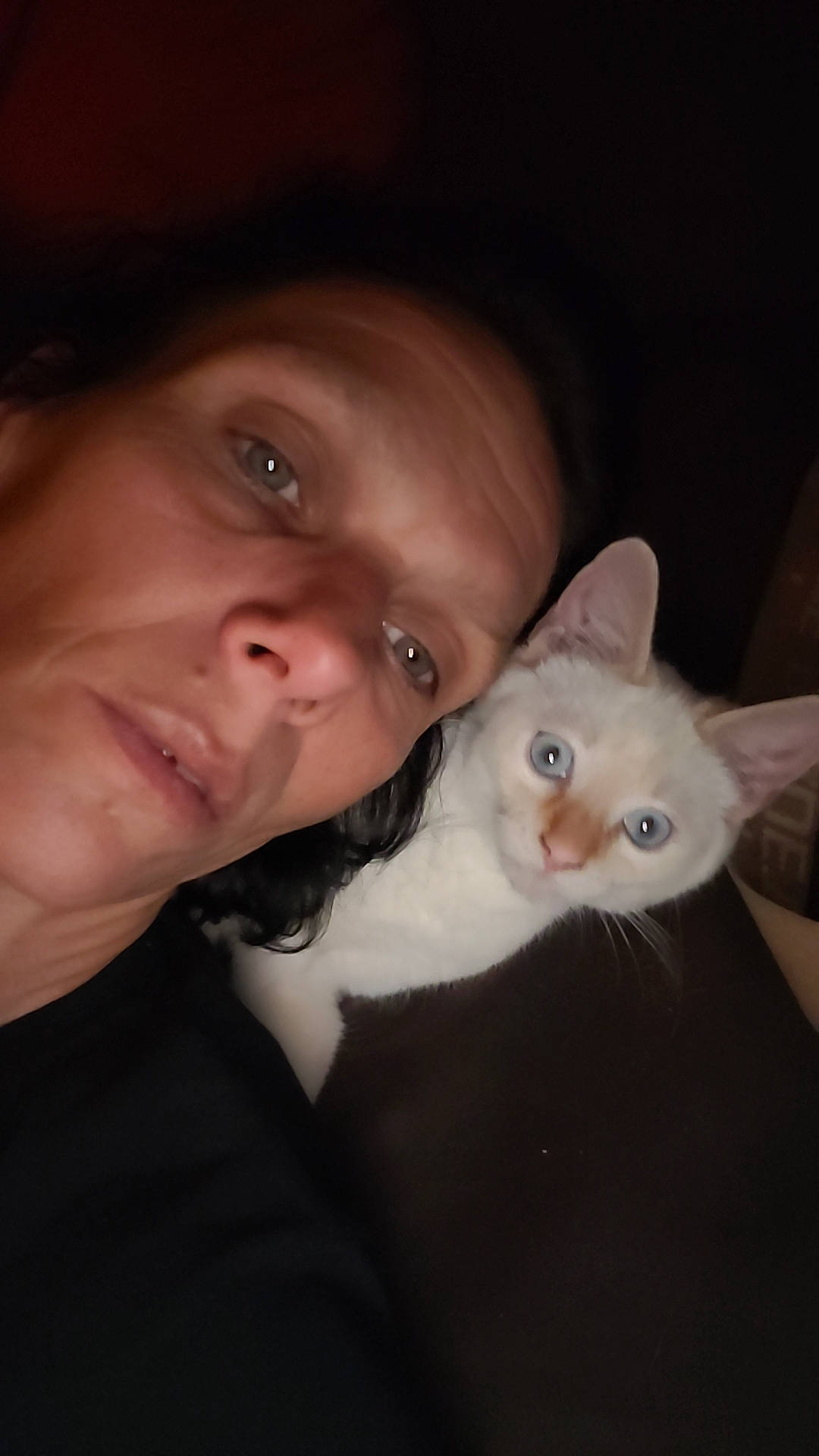 Yuki a rejoint le concours — aidez-le/la à gagner de superbes lots ! beard, carnivore, cat, domestic_short_haired_cat, ear, eyebrow, eyelash, fawn, felidae, flash_photography, formal_wear, fur, gesture, iris, jaw, nose, selfie, small_to_medium_sized_cats, tail, whiskers