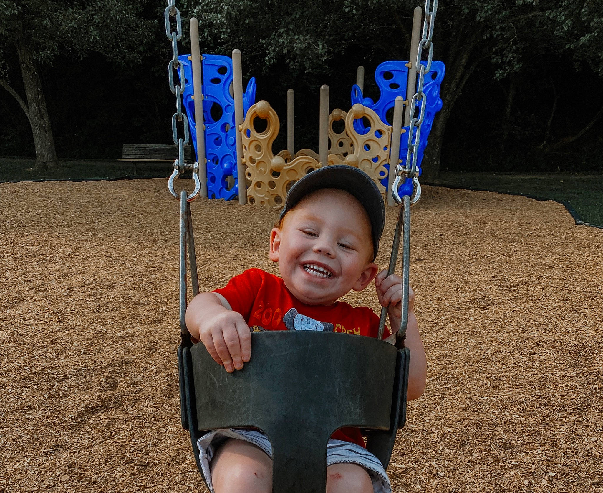 Cannon joined the competition — help win amazing prizes! baby, baby_toddler_clothing, child, city, eye, fun, grass, happy, joy, leisure, outdoor_play_equipment, people_in_nature, person, plant, playground, recreation, smile, swing, t_shirt, toddler