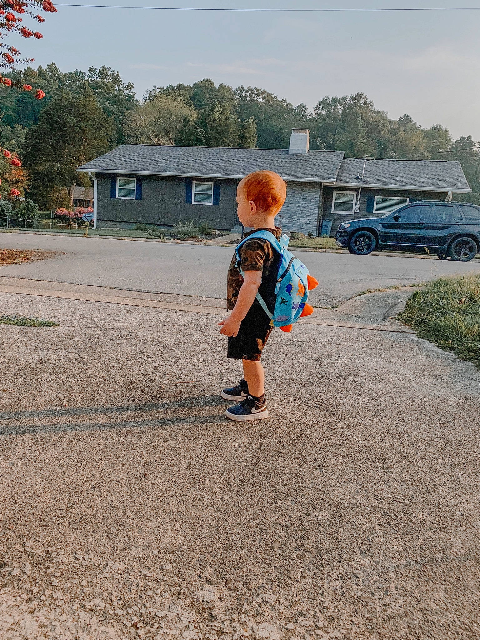 Cannon joined the competition — help win amazing prizes! asphalt, electric_blue, fun, grass, hat, house, landscape, leisure, person, plant, recreation, road, road_surface, rolling, shorts, sky, t_shirt, toddler, travel, tree