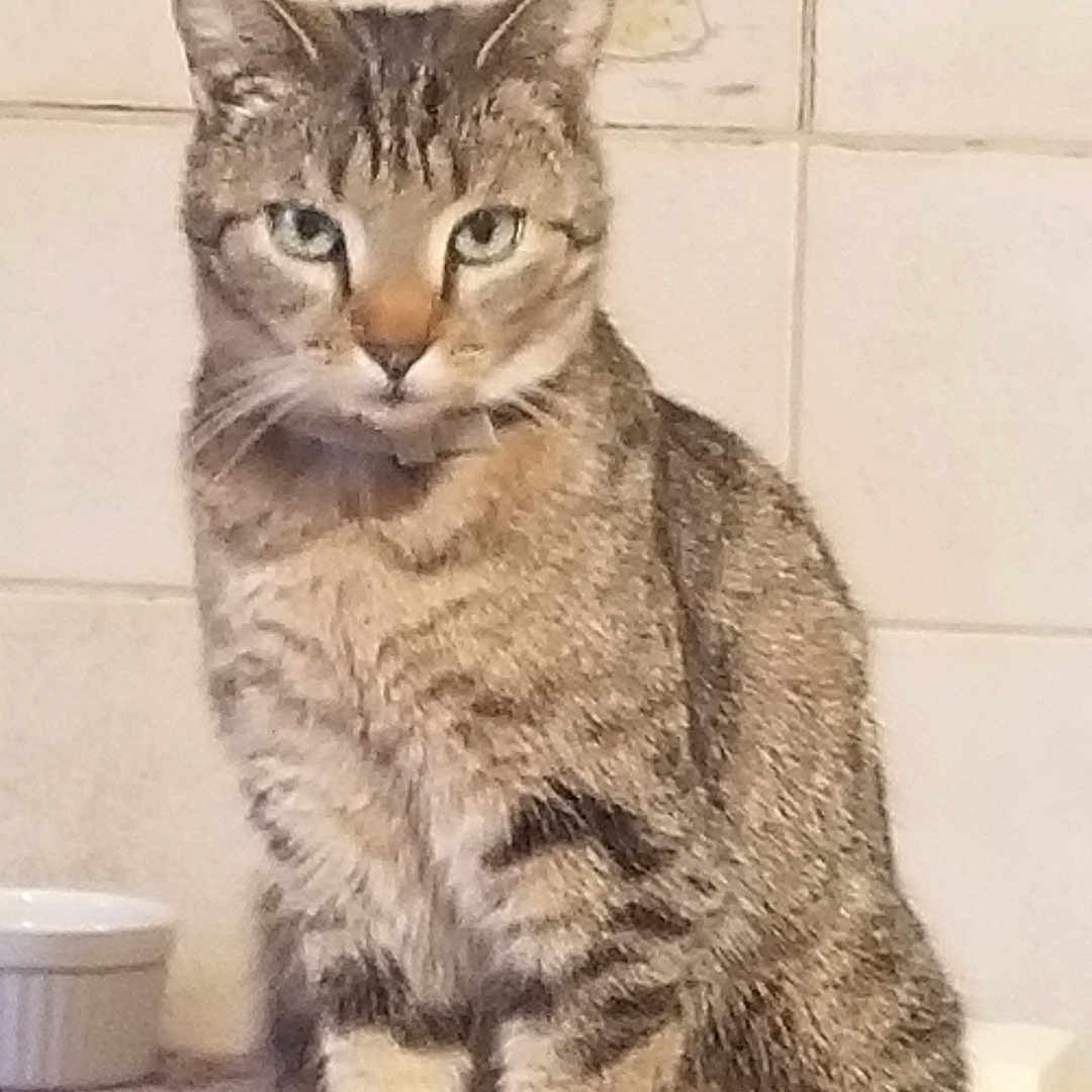 Lili