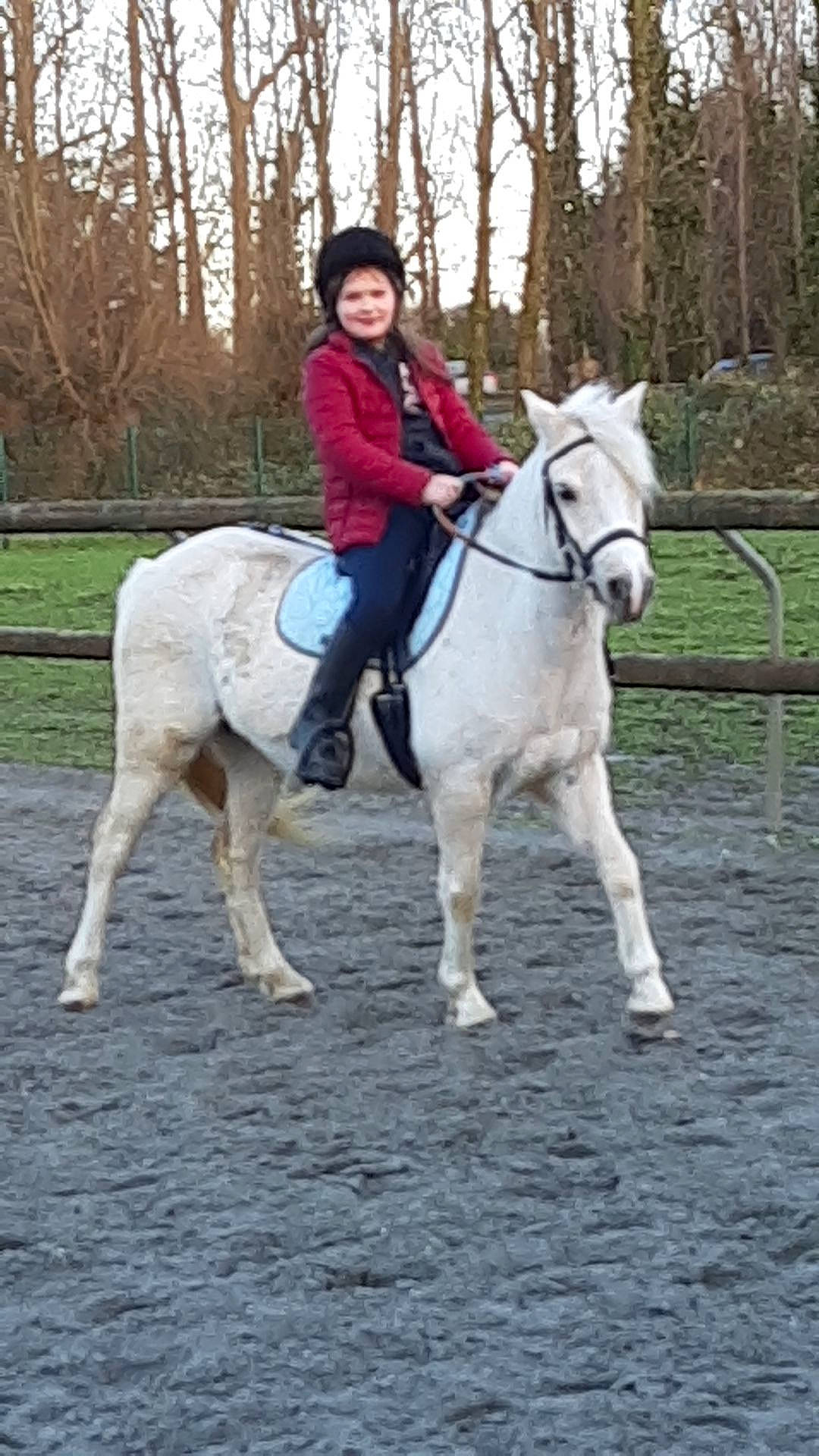 Shaya a rejoint le concours — aidez-le/la à gagner de superbes lots ! animal_sports, bridle, english_riding, equestrian_sport, equestrianism, equitation, halter, horse, horse_supplies, horse_tack, joy, mammal, mane, mare, outdoor_recreation, person, recreation, rein, saddle, stallion