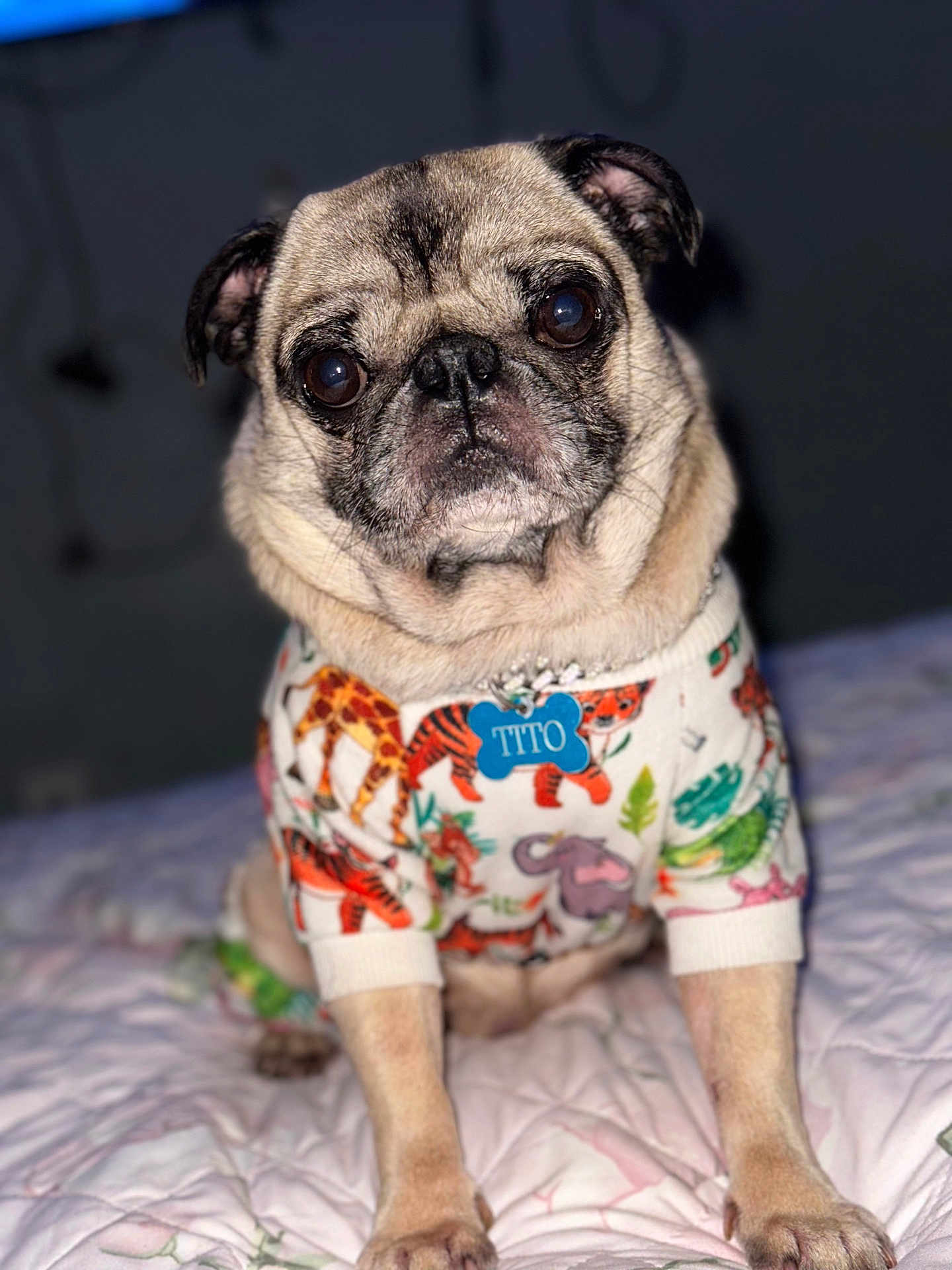 Tito
