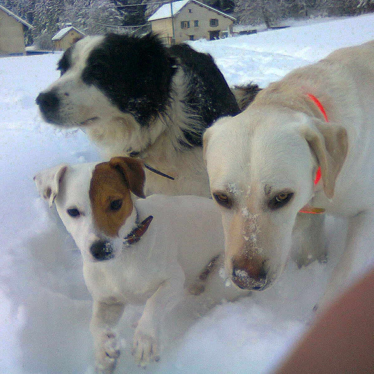 Edgard a rejoint le concours — aidez-le/la à gagner de superbes lots !