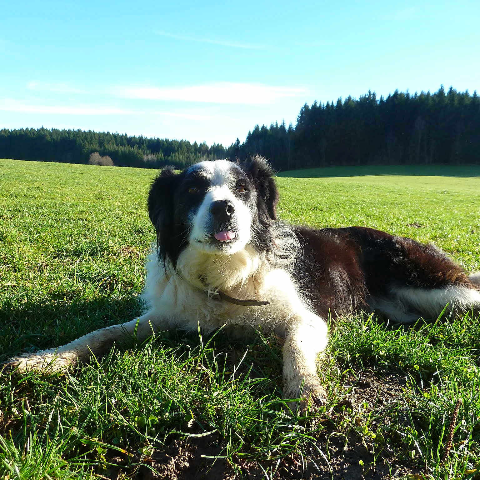 Tess a rejoint le concours — aidez-le/la à gagner de superbes lots !