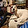 Wishbone