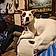 Wishbone