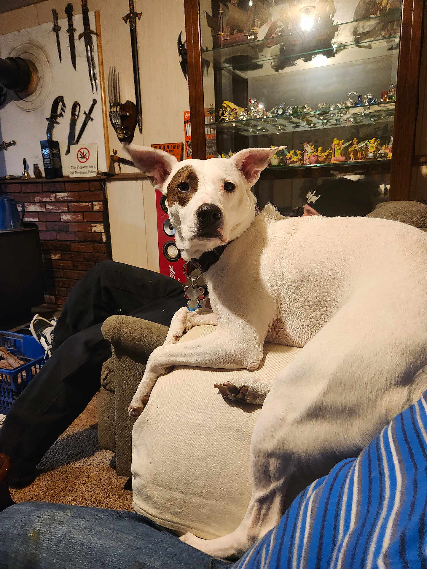 Wishbone
