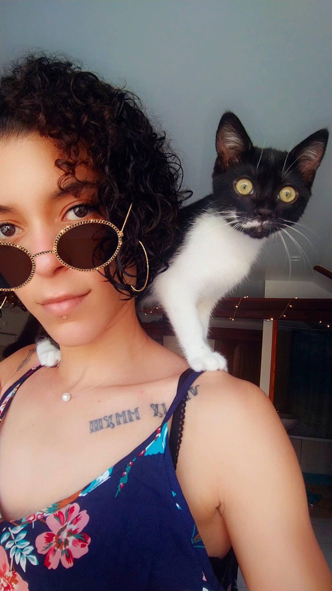 Féline participe au concours pour gagner de l'argent avec cette photo : bangs, black_hair, brown_hair, carnivore, cat, cool, ear, eyewear, fawn, felidae, glasses, hair, hairstyle, long_hair, neck, nose, photography, selfie, small_to_medium_sized_cats, whiskers