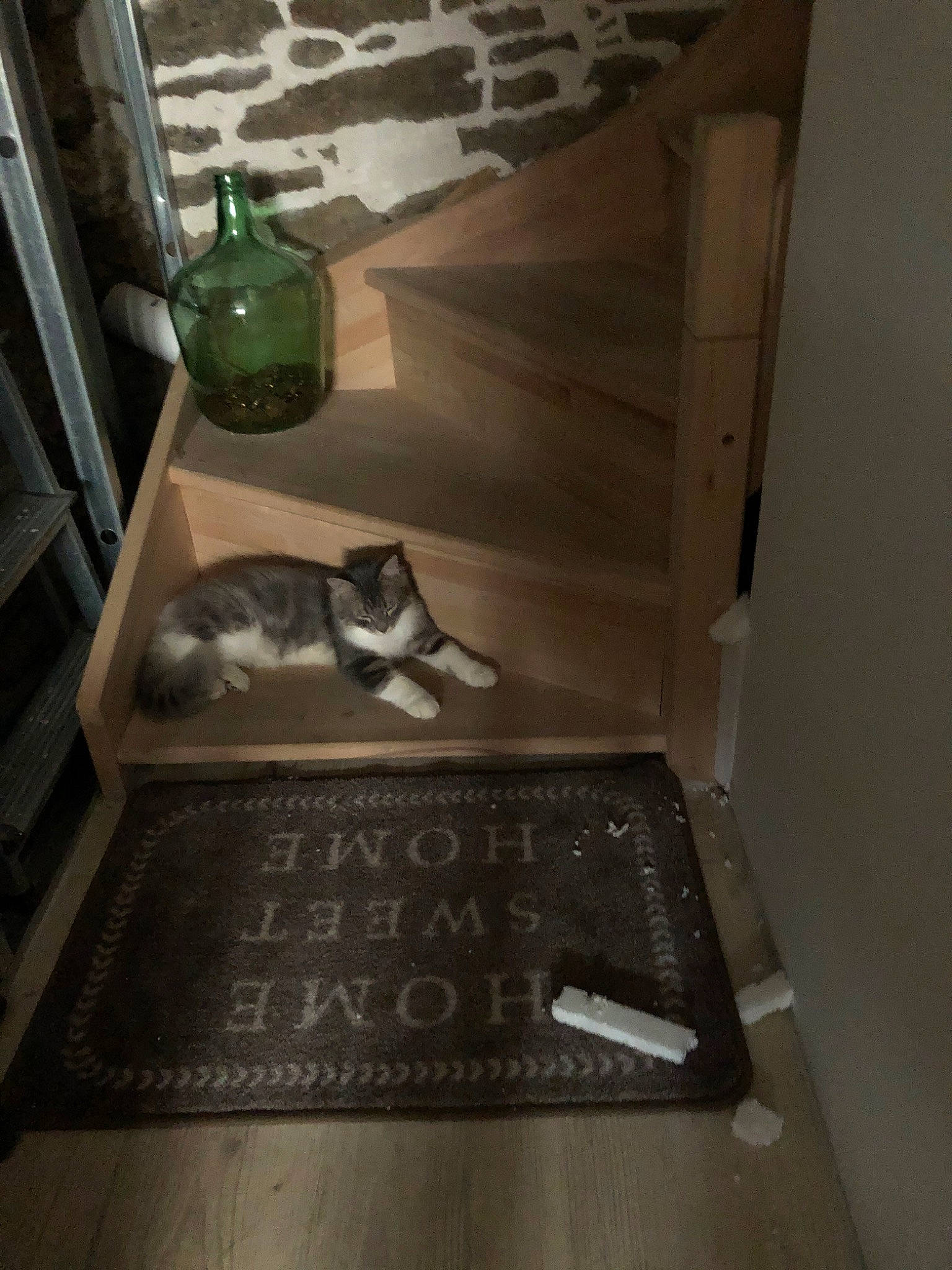 Mickey a rejoint le concours — aidez-le/la à gagner de superbes lots ! cat, floor, flooring, room, table, tile