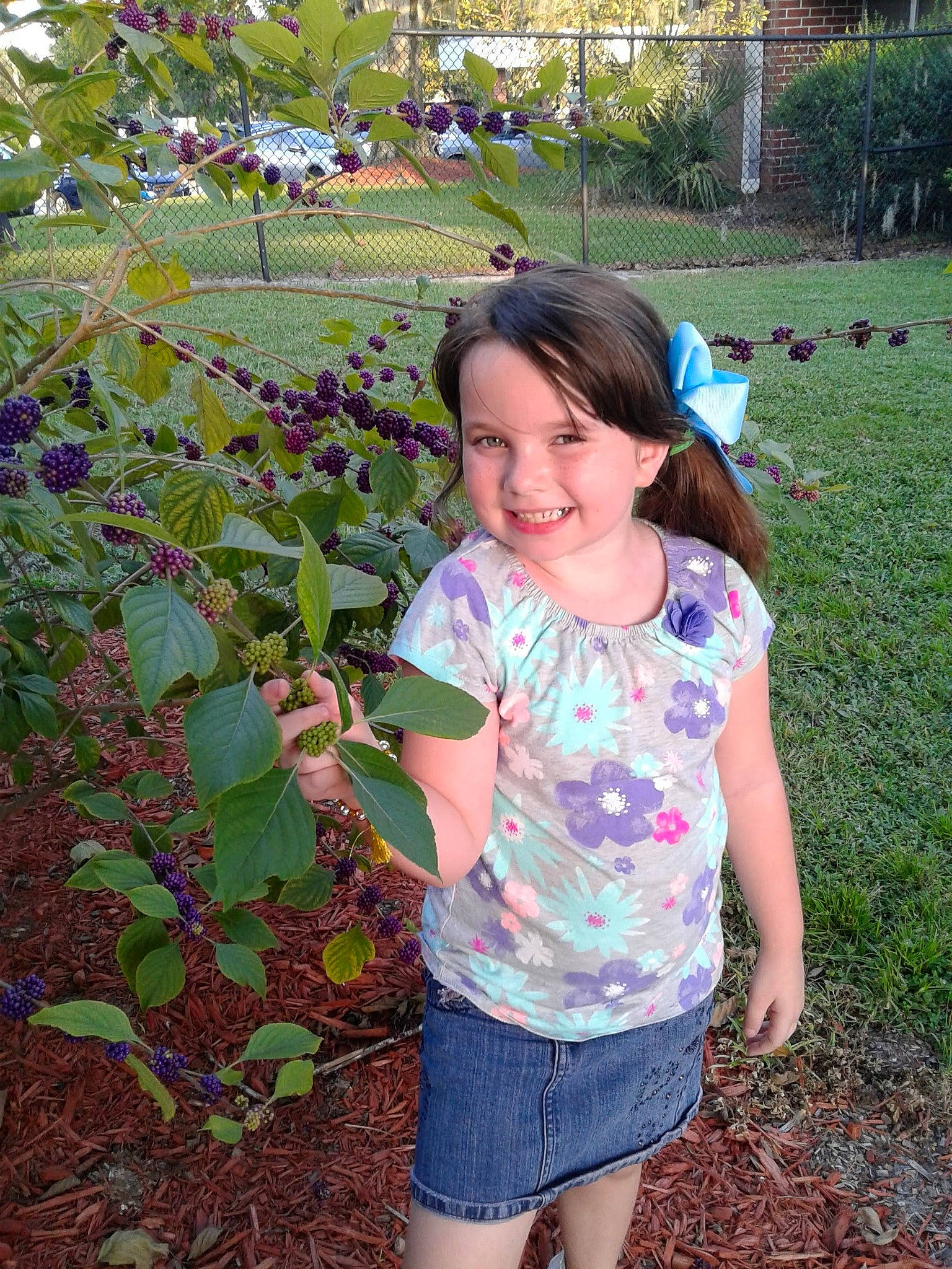 Kyleigh joined the competition — help win amazing prizes! adaptation, botany, child, fawn, flower, garden, grass, joy, leaf, person, plant, smile, toddler, tree, wildflower