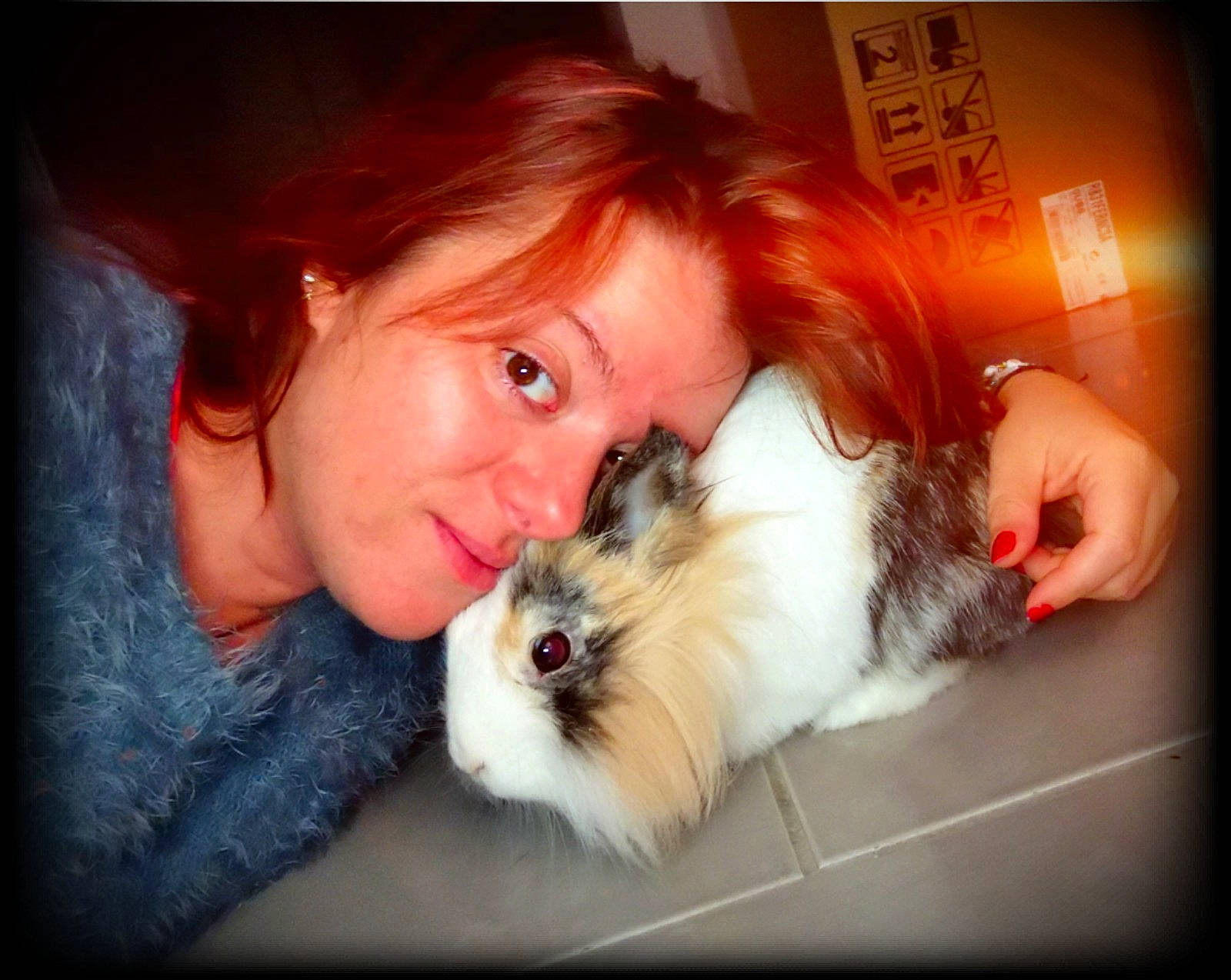 Chipie participe au concours pour gagner de l'argent avec cette photo : cat, companion_dog, ear, eye, fur, guinea_pig, iris, mouth, nose, photo_caption, rodent, whiskers