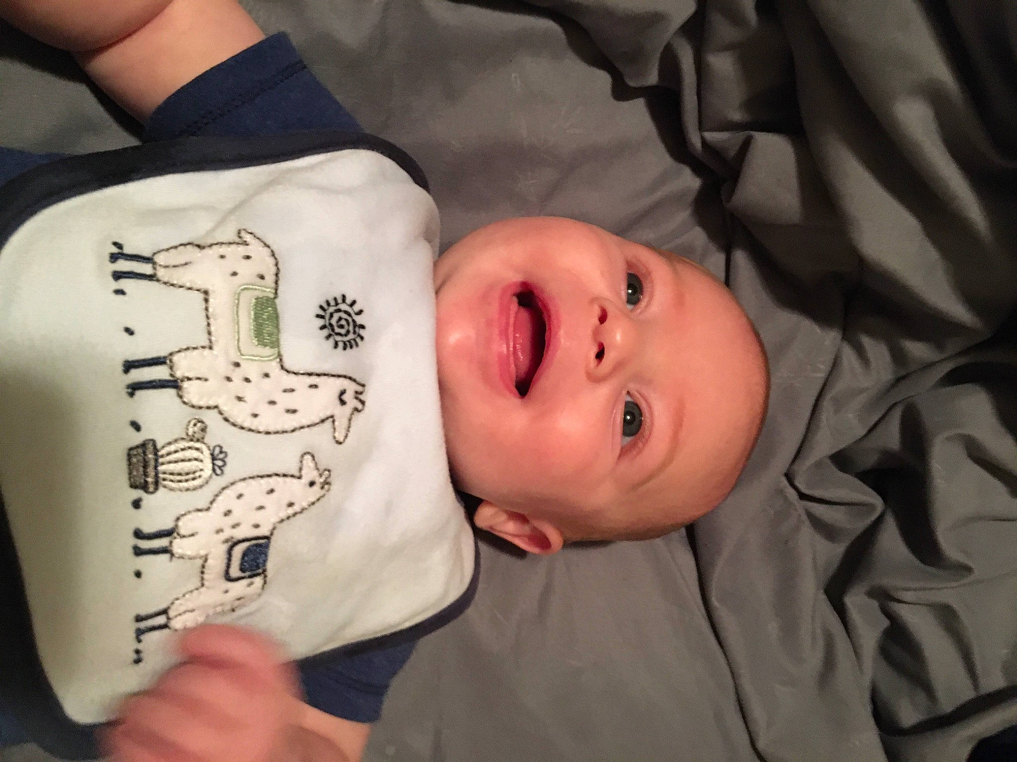 Zander is registered to the contest to win money with this photo: baby, baby_products, baby_toddler_clothing, cheek, child, comfort, eyelash, face, facial_expression, finger, happy, head, mammal, mouth, nose, person, skin, sleeve, smile, toddler