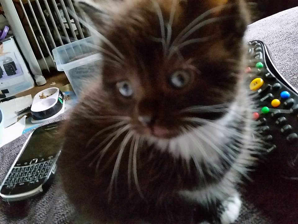 Fluffy