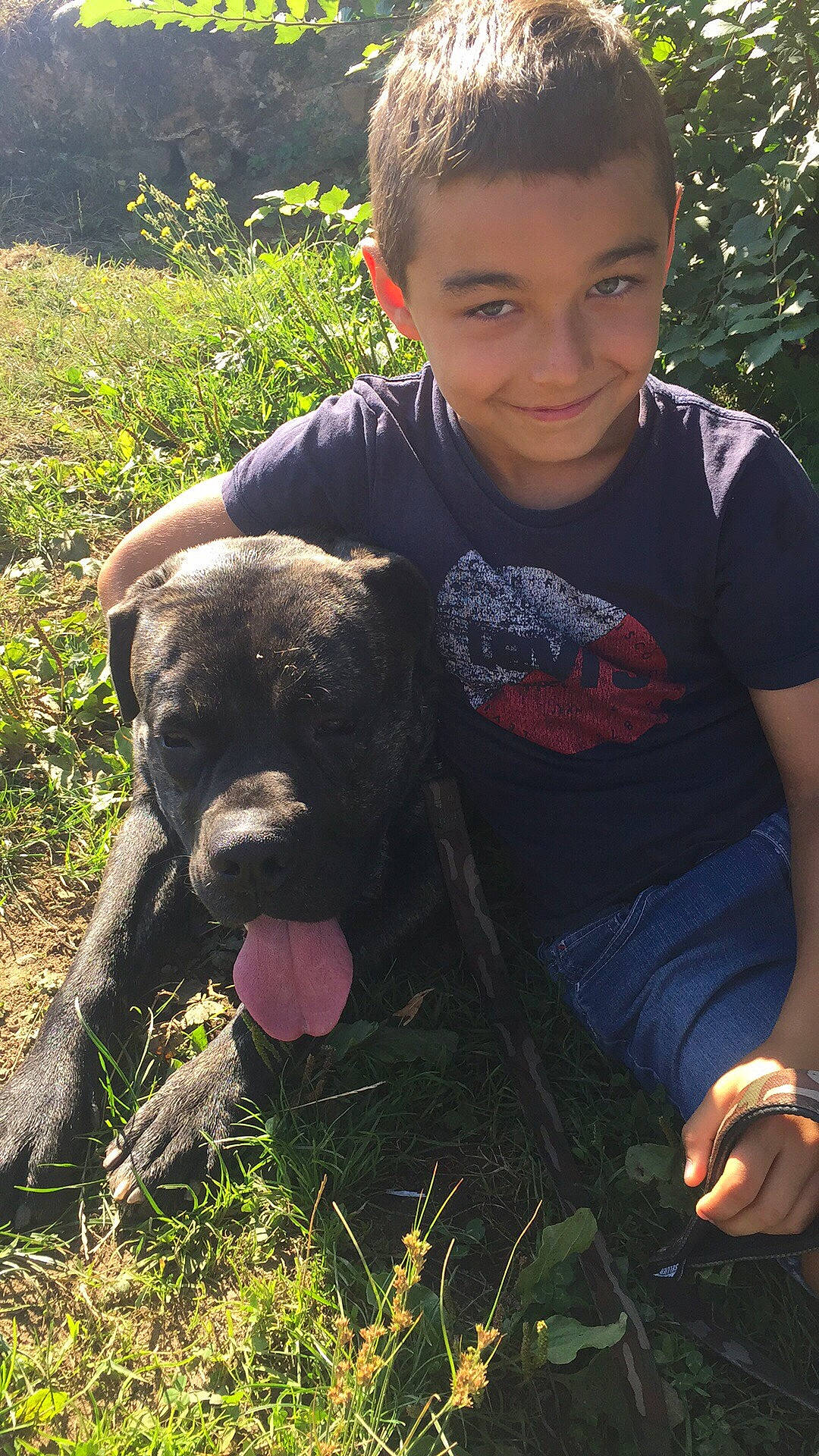 Gabin a rejoint le concours — aidez-le/la à gagner de superbes lots ! borador, caesar_cut, canidae, carnivore, companion_dog, dog, dog_breed, human, joy, non_sporting_group, people_in_nature, person, puppy, puppy_love, sandal, snout, sporting_group, terrestrial_animal, working_animal, working_dog