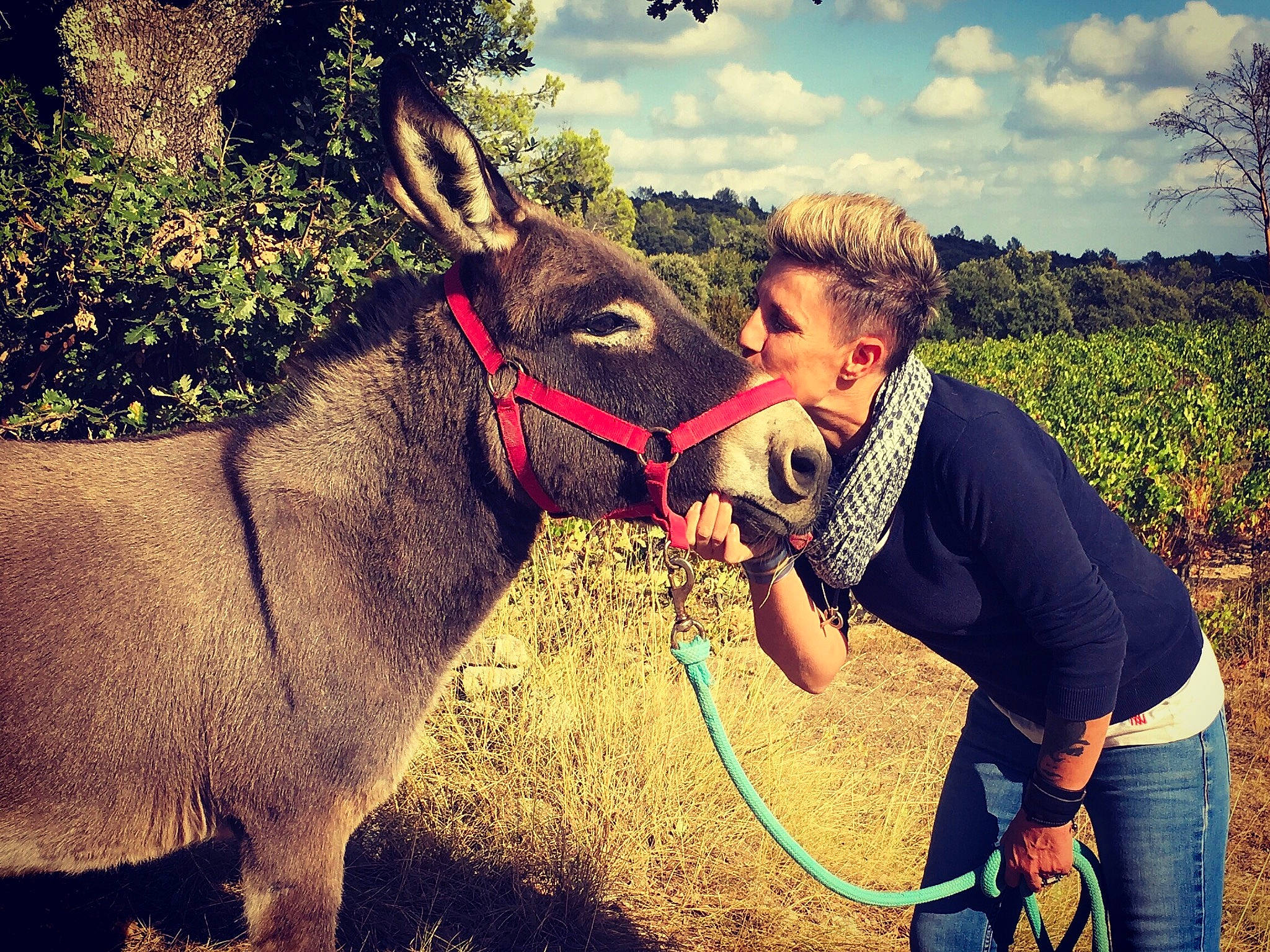 Bambou a rejoint le concours — aidez-le/la à gagner de superbes lots ! bridle, donkey, fun, grass, horse, horse_like_mammal, horse_supplies, livestock, mammal, pack_animal, person, plant, snout, tree, vertebrate, wildlife, woody_plant