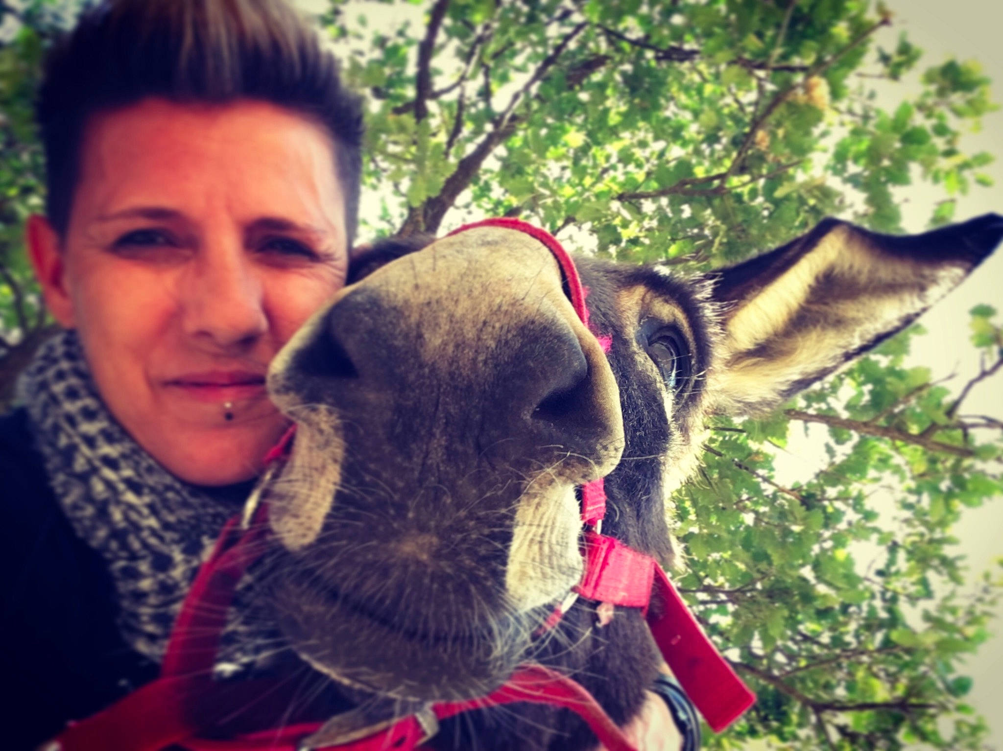 Bambou a rejoint le concours — aidez-le/la à gagner de superbes lots ! ear, fun, fur, person, snout, wildlife