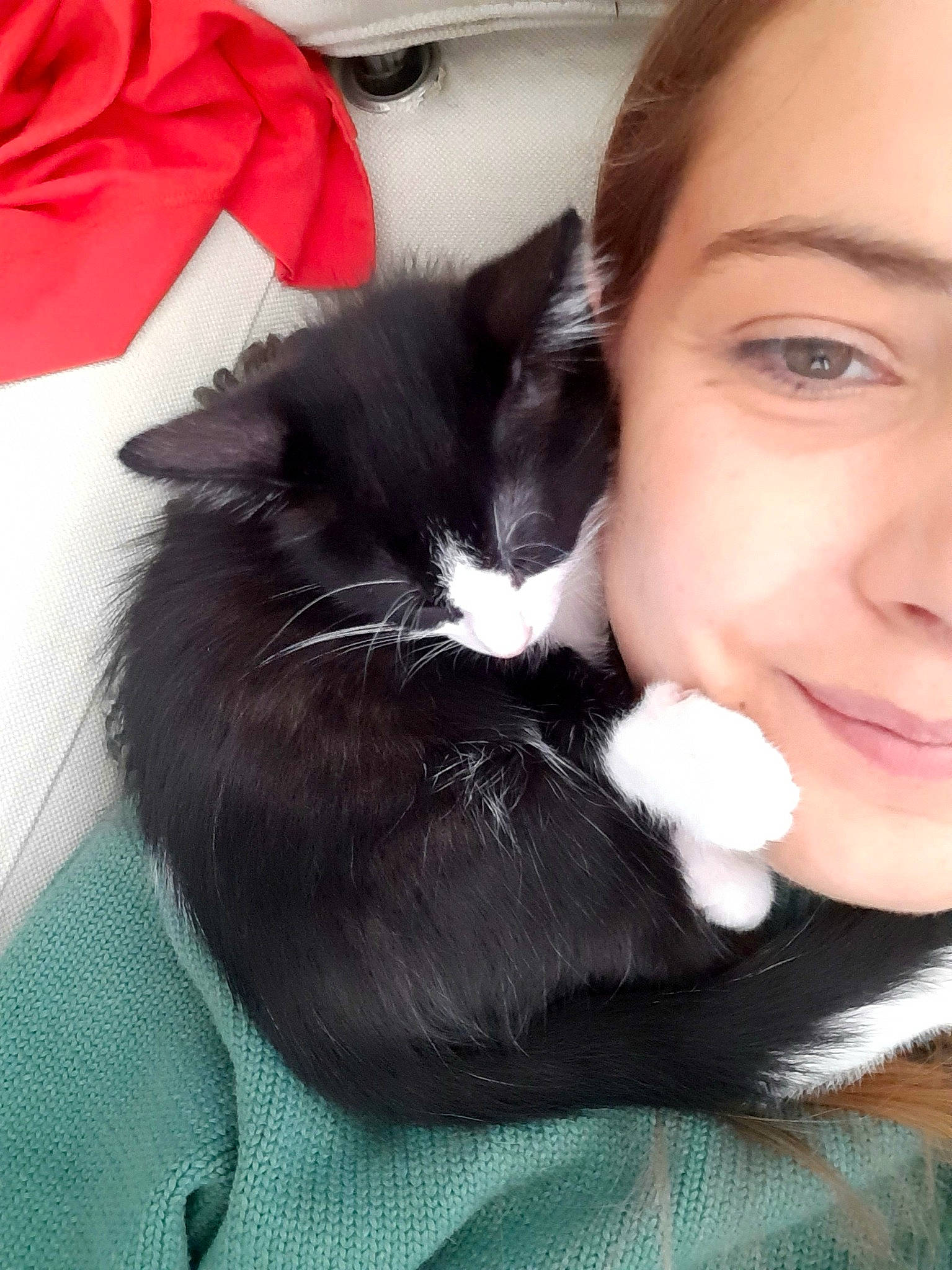 Yop a rejoint le concours — aidez-le/la à gagner de superbes lots ! black_hair, carnivore, cat, comfort, ear, eye, eyelash, felidae, formal_wear, fur, gesture, hair, happy, head, lap, long_hair, organ, small_to_medium_sized_cats, smile, whiskers