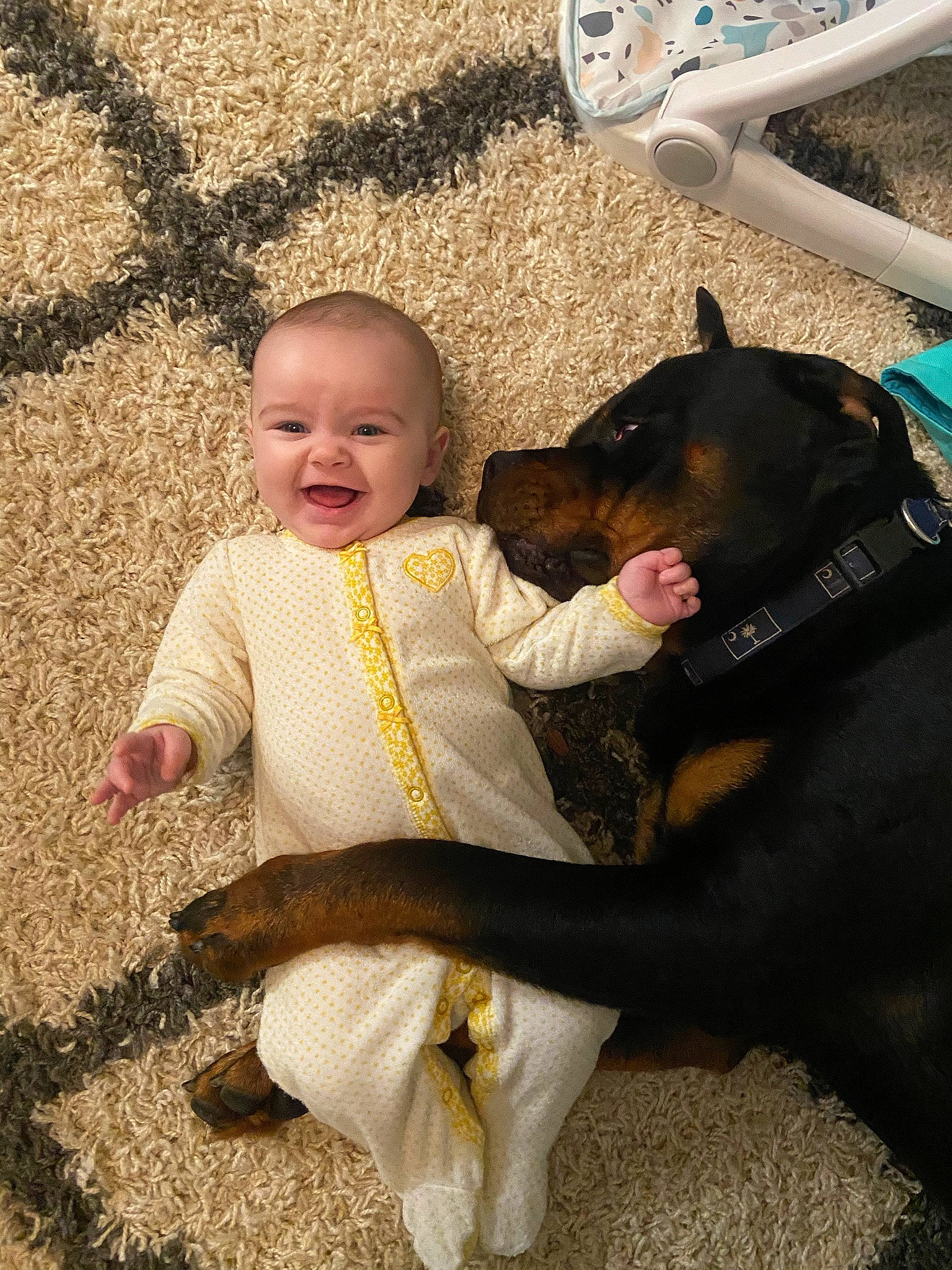 Hadley is registered to the contest to win money with this photo: baby, baby_toddler_clothing, carnivore, child, companion_dog, dog, dog_breed, dog_collar, eye, fun, grass, guard_dog, happy, leisure, outerwear, people_in_nature, person, sitting, smile, sporting_group