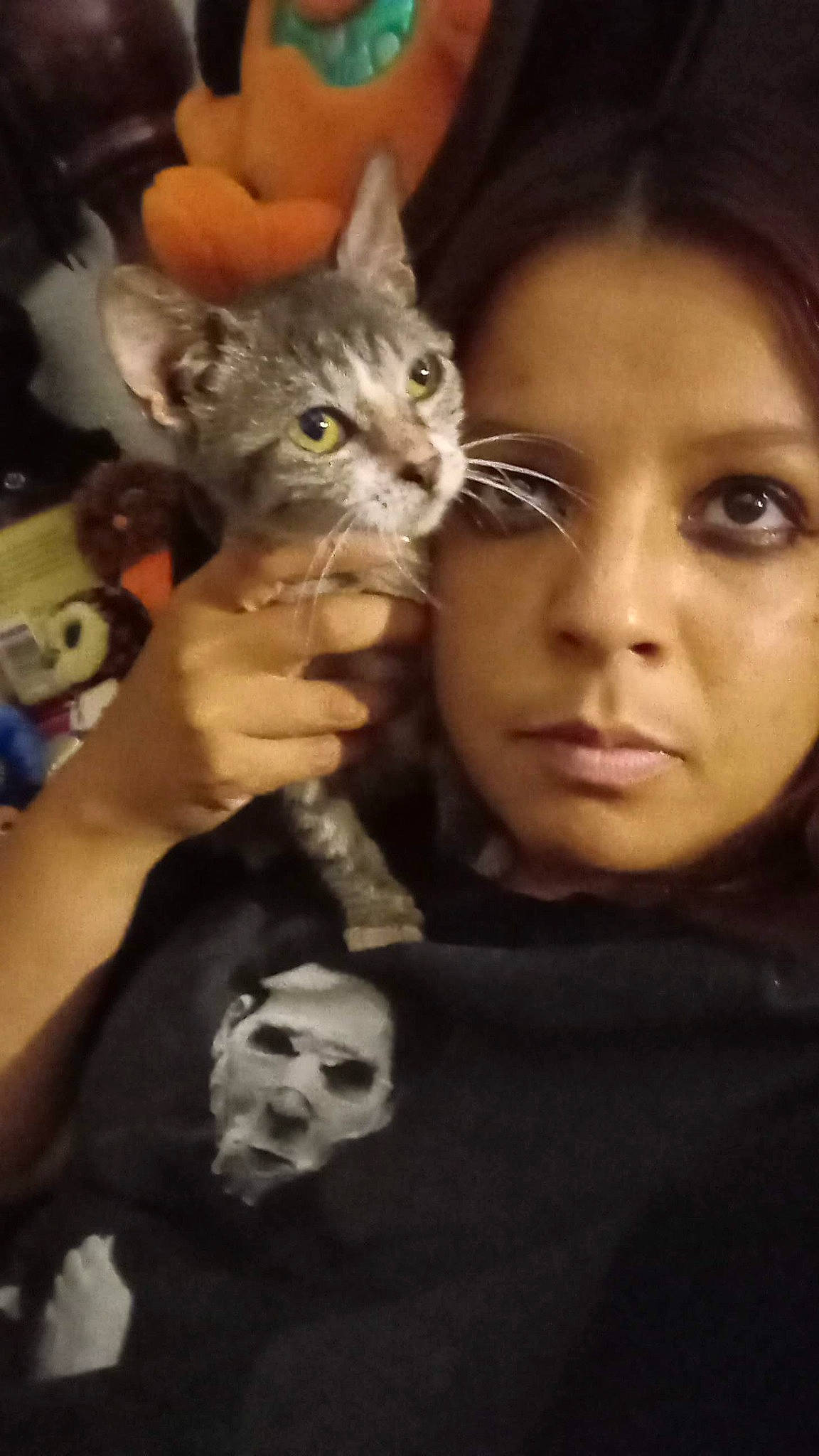 Paulita is registered to the contest to win money with this photo: carnivore, cat, darkness, domestic_short_haired_cat, event, eyelash, felidae, flash_photography, fur, gesture, happy, iris, nail, selfie, small_to_medium_sized_cats, whiskers